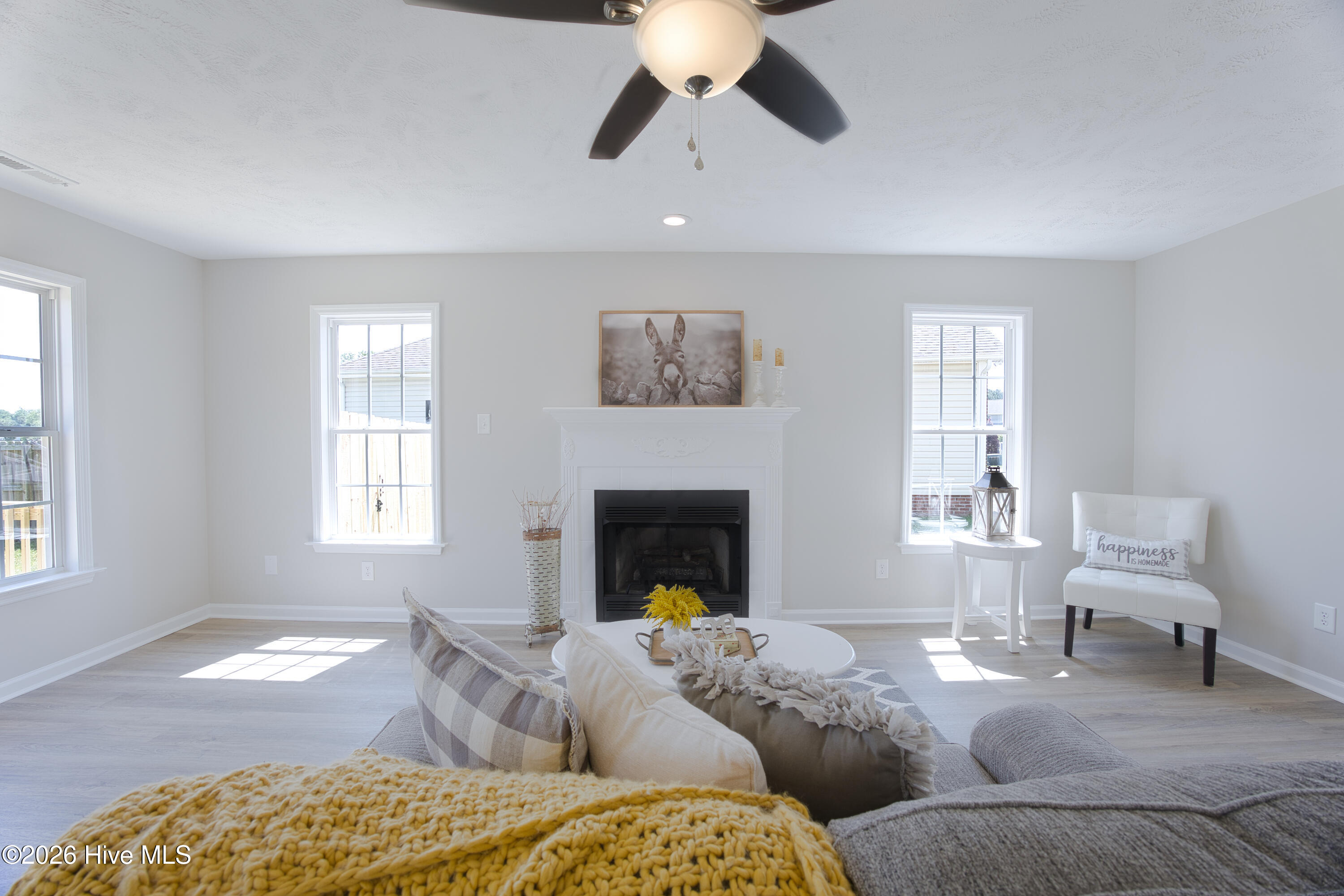 100570249 | Photo 15