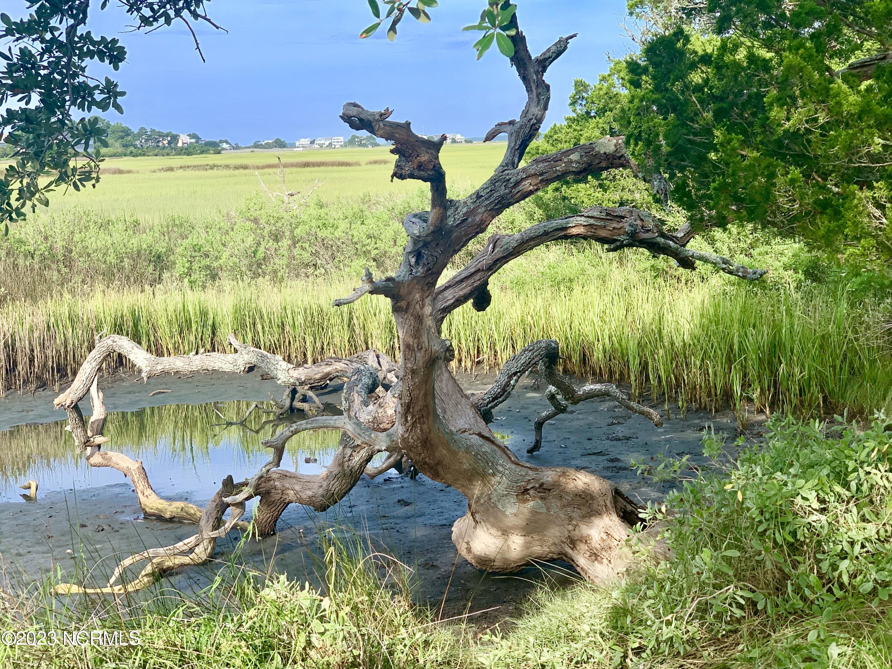 100388234 | Photo 34