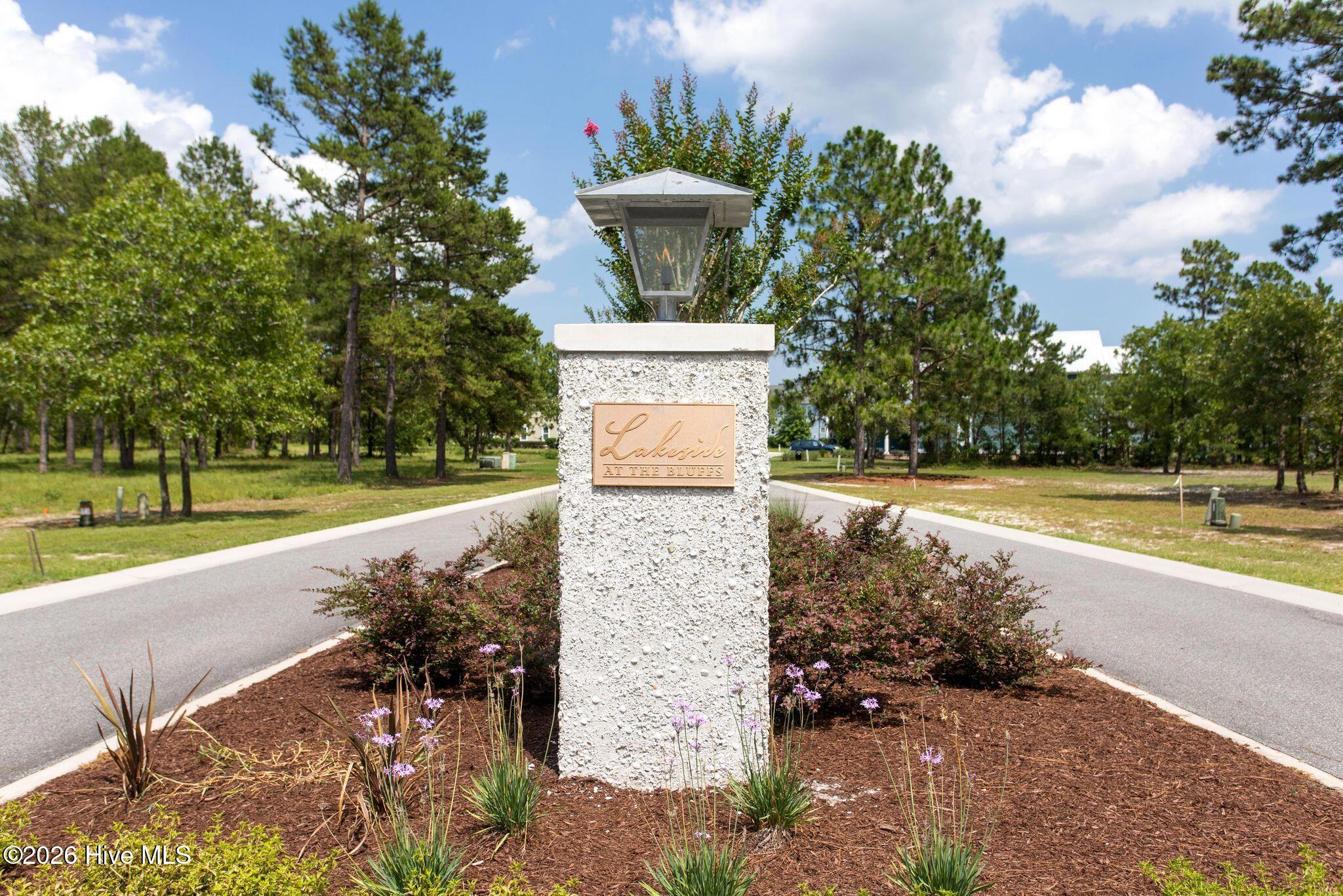 100569004 | Photo 98