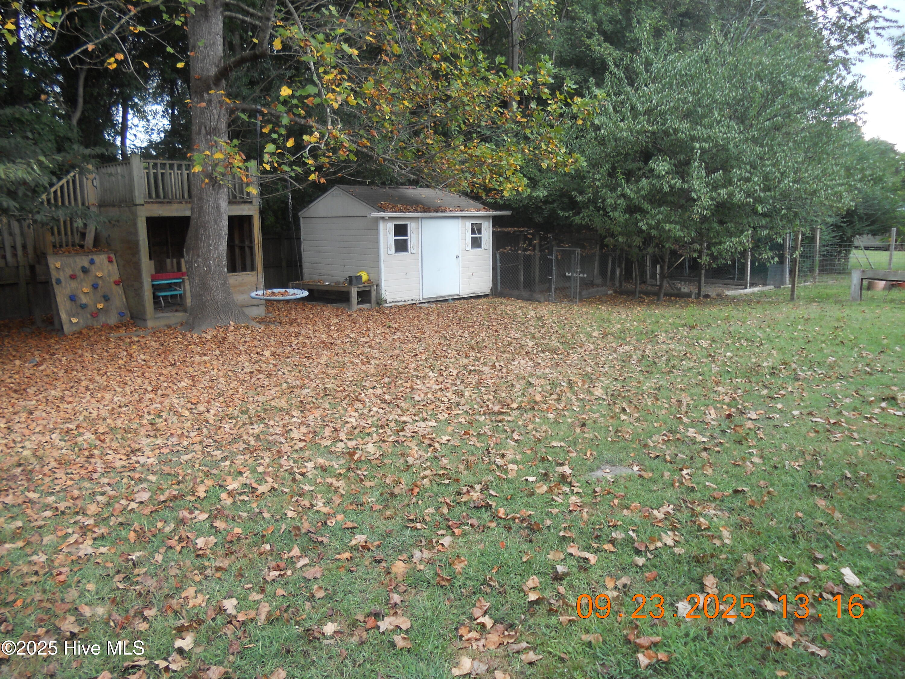 100532351 | Photo 46