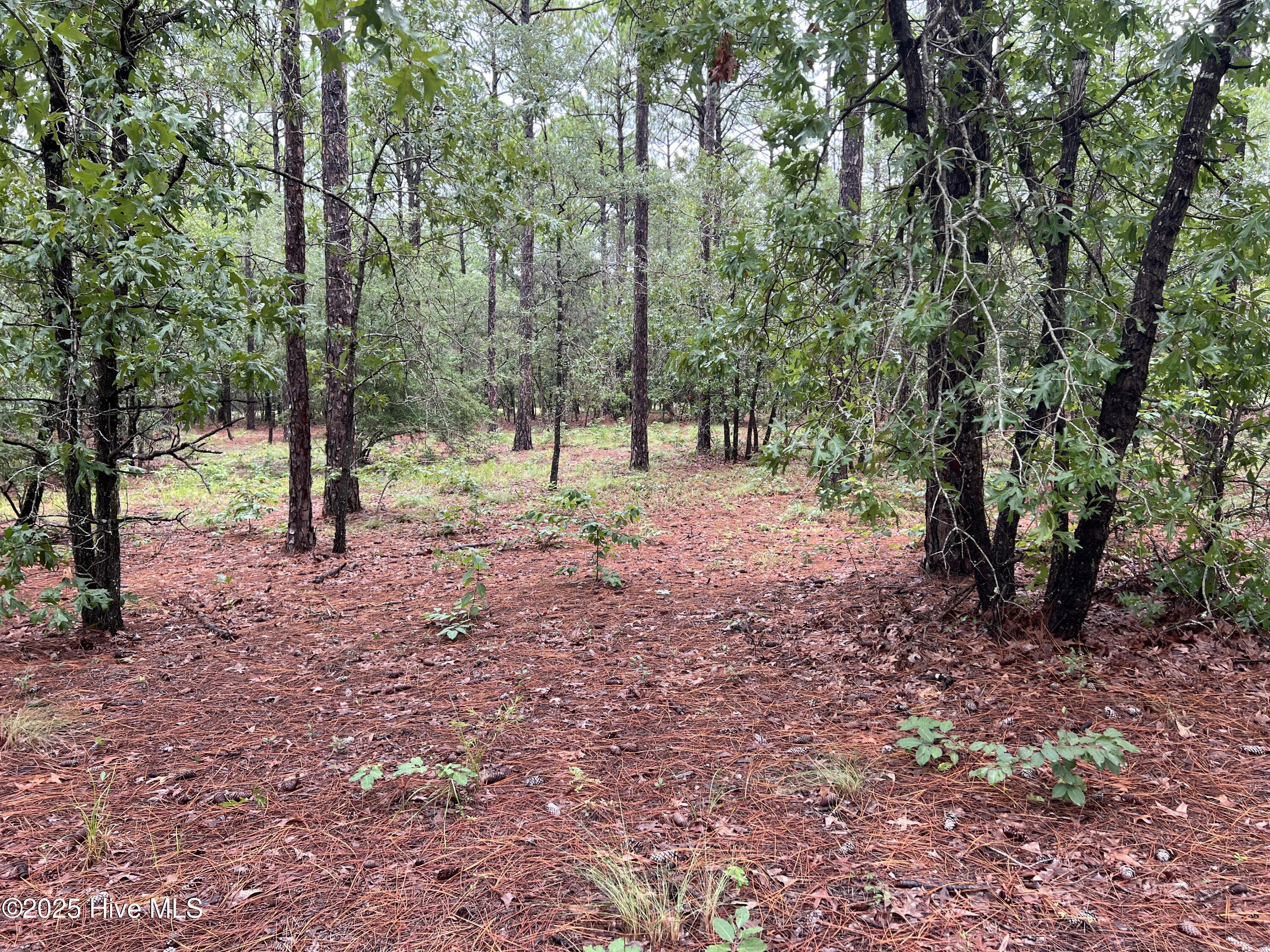 100527062 | Photo 13