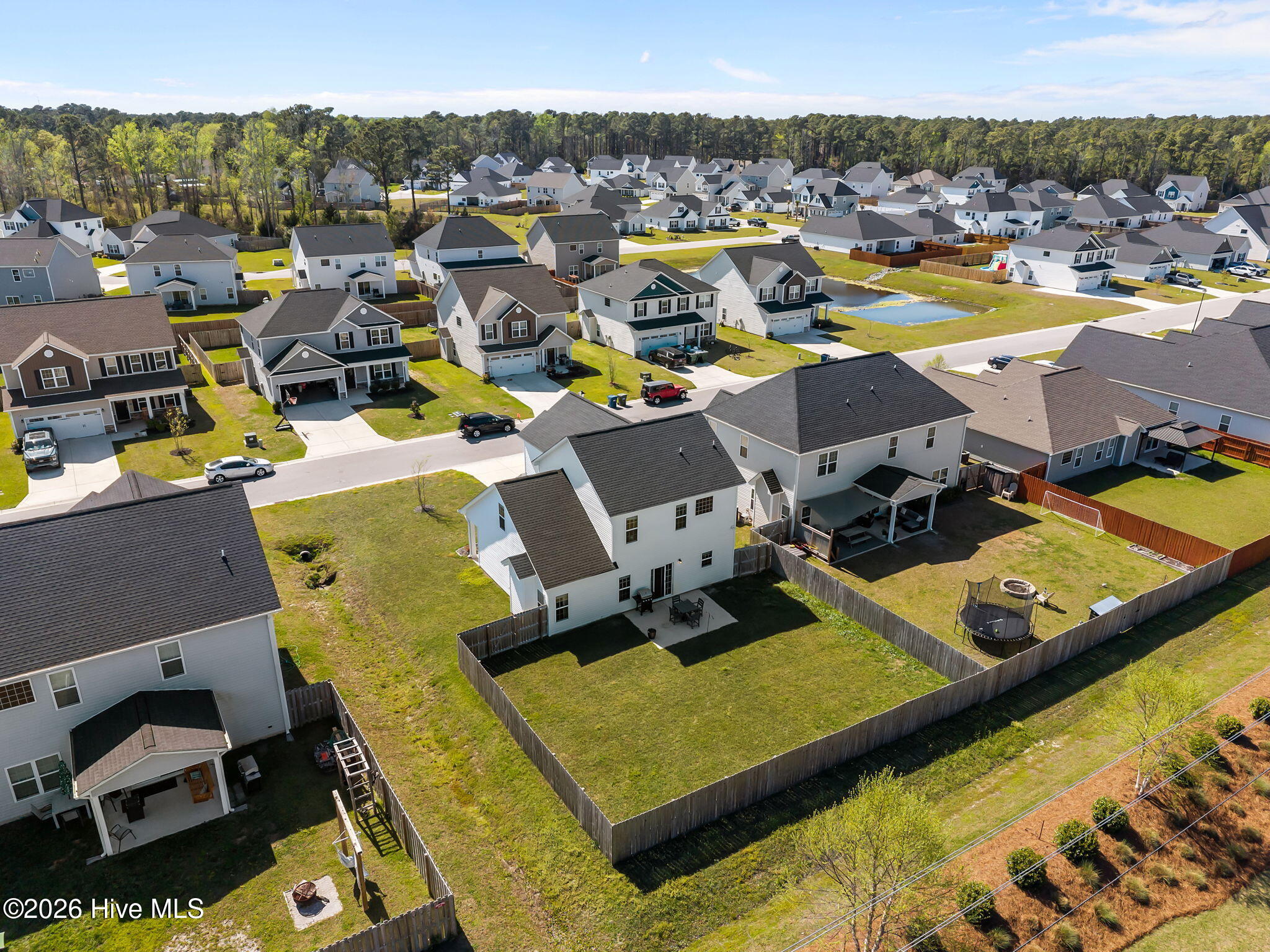 100564865 | Photo 47