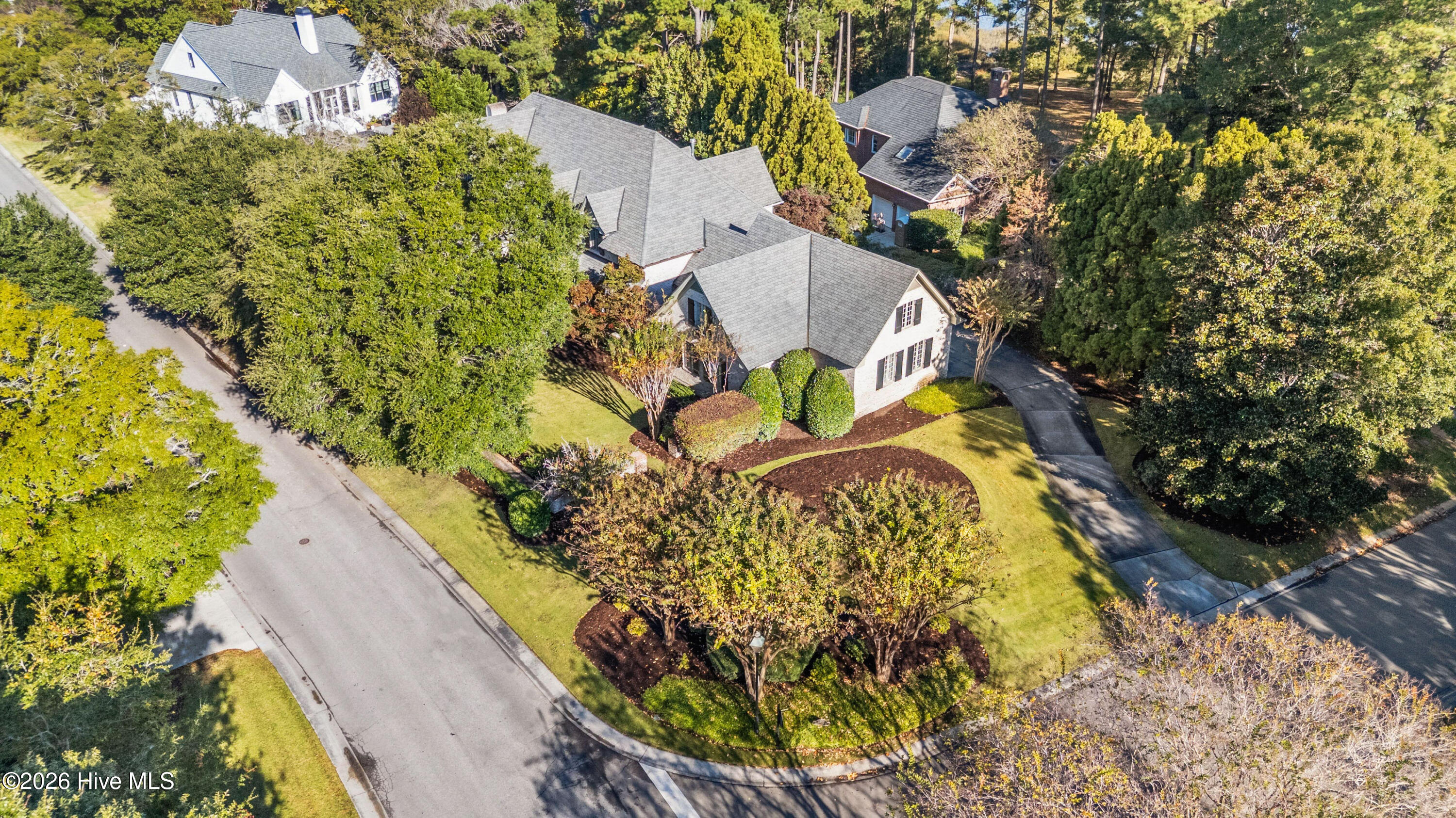 100555813 | Photo 102