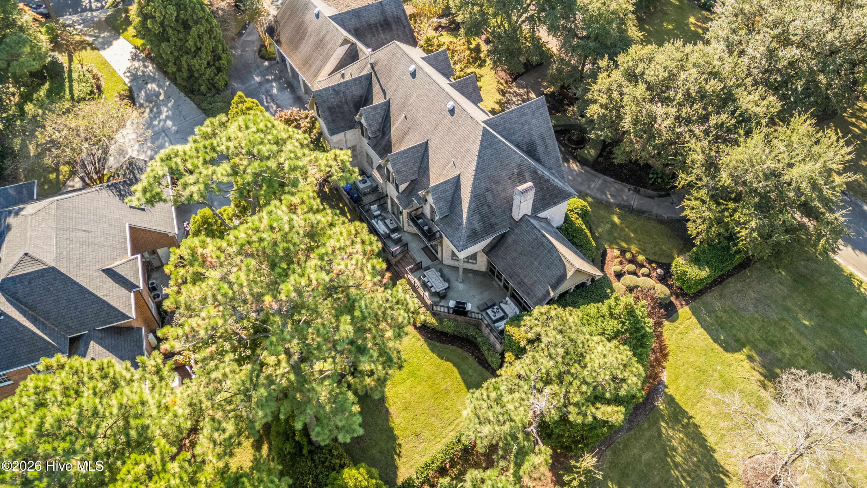 100555813 | Photo 104