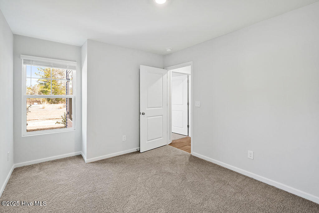 100548507 | Photo 30