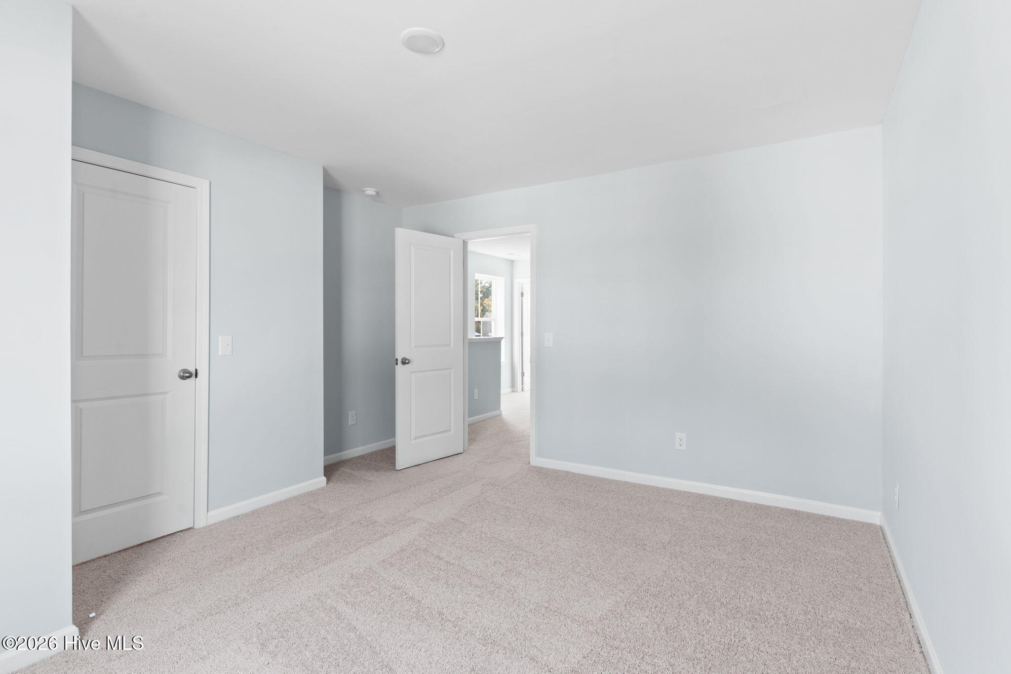 100534637 | Photo 17