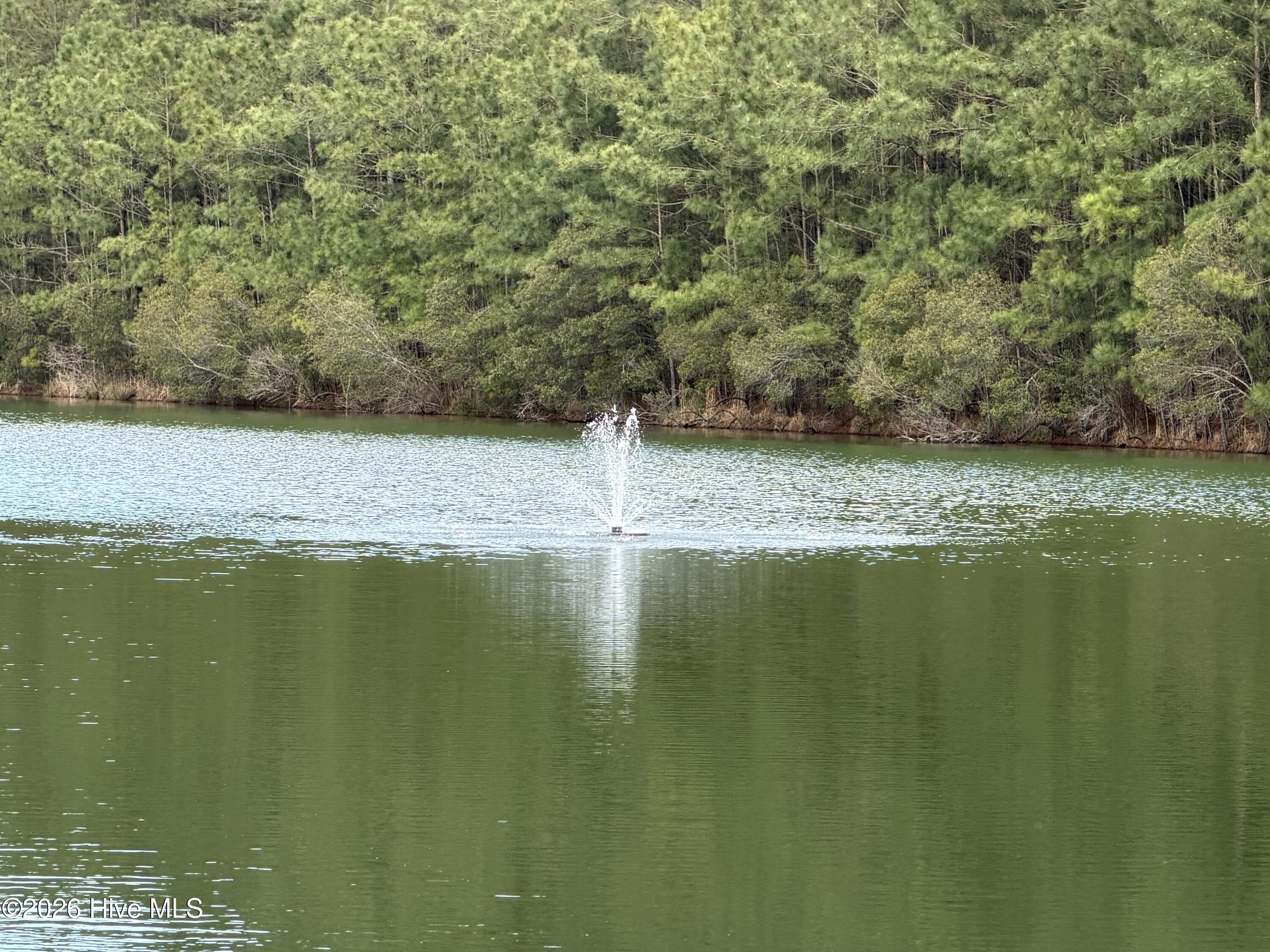 Pond 2 fountain View Bailey Pointe
