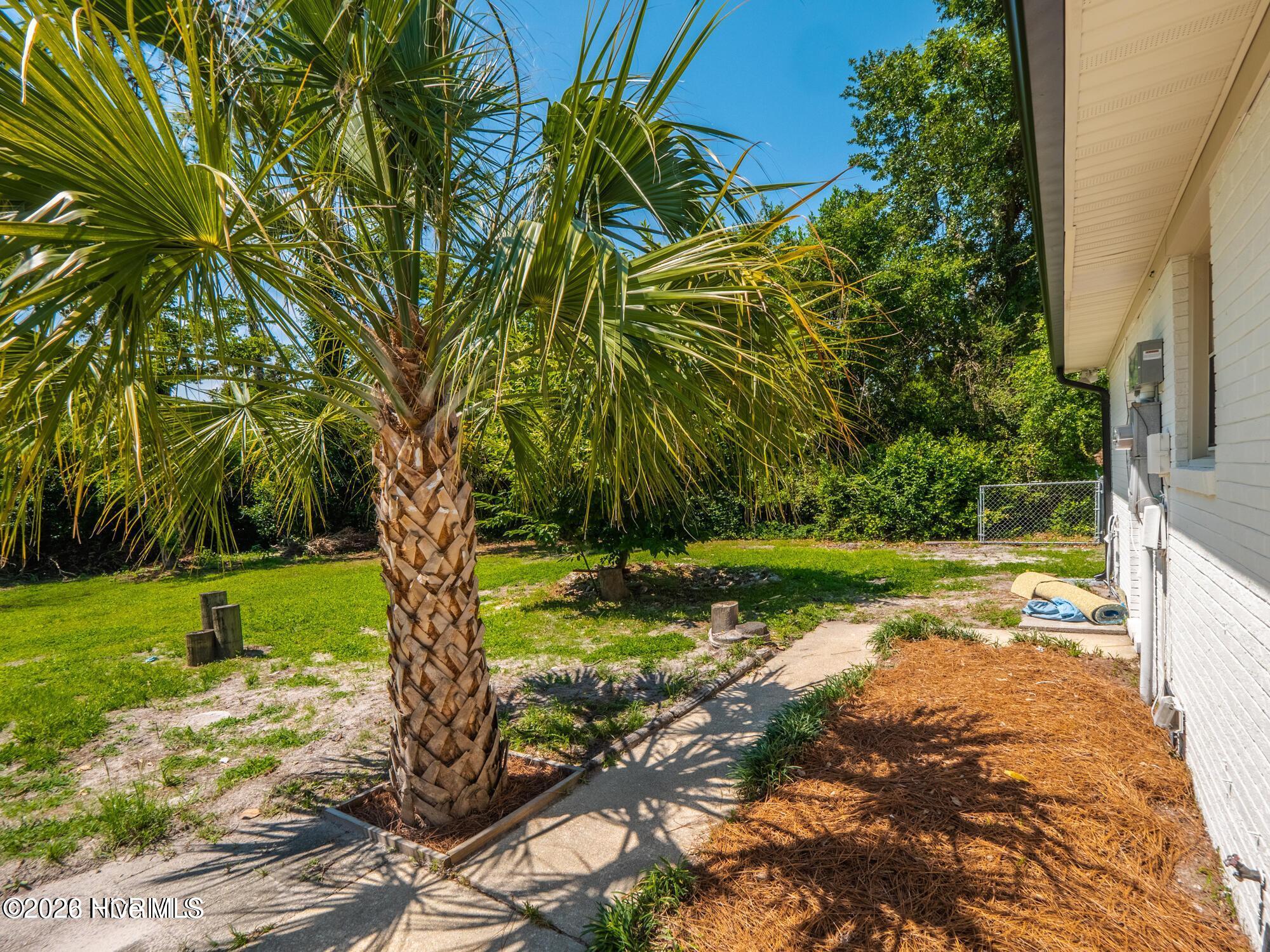 100562662 | Photo 21