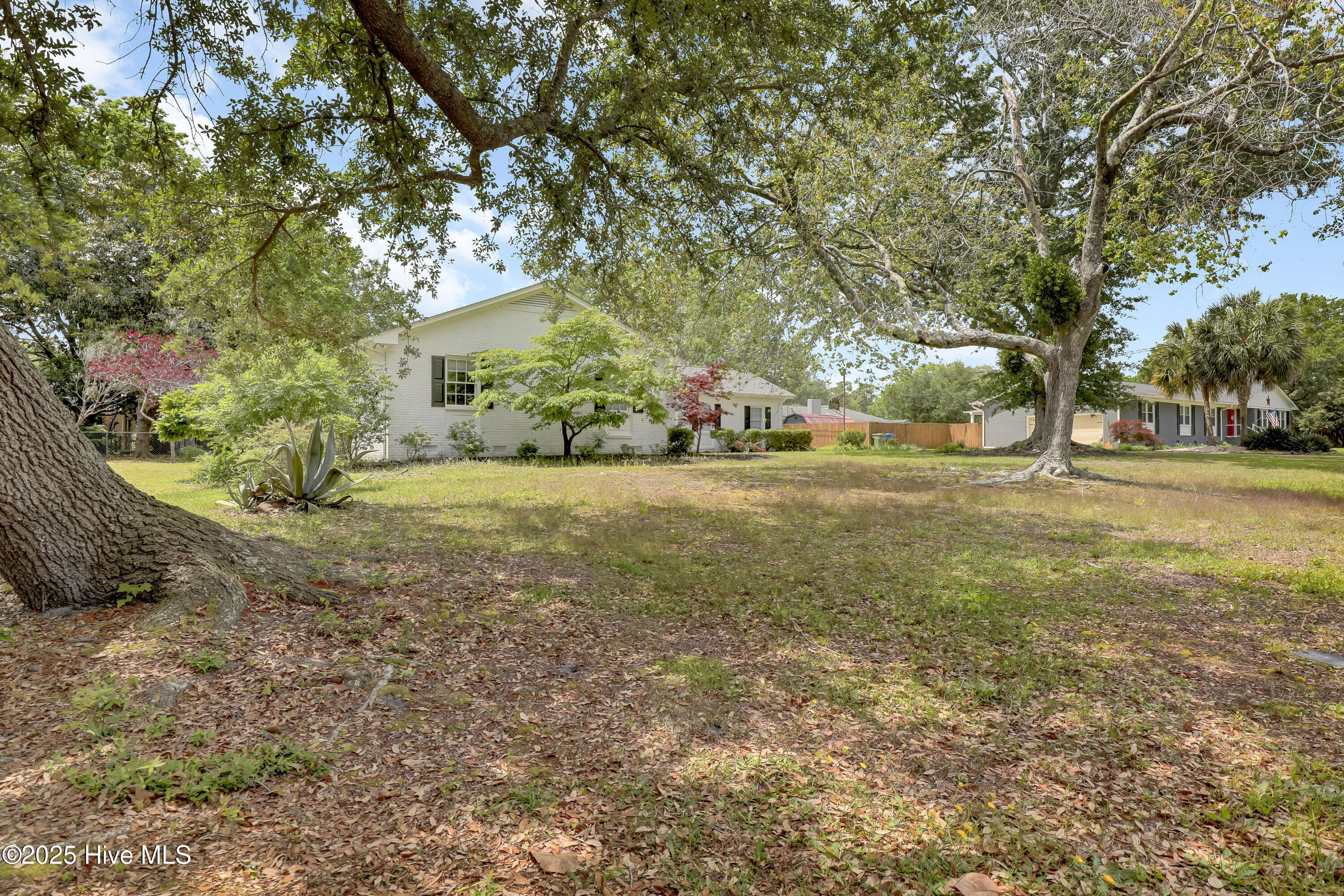 100566321 | Photo 35