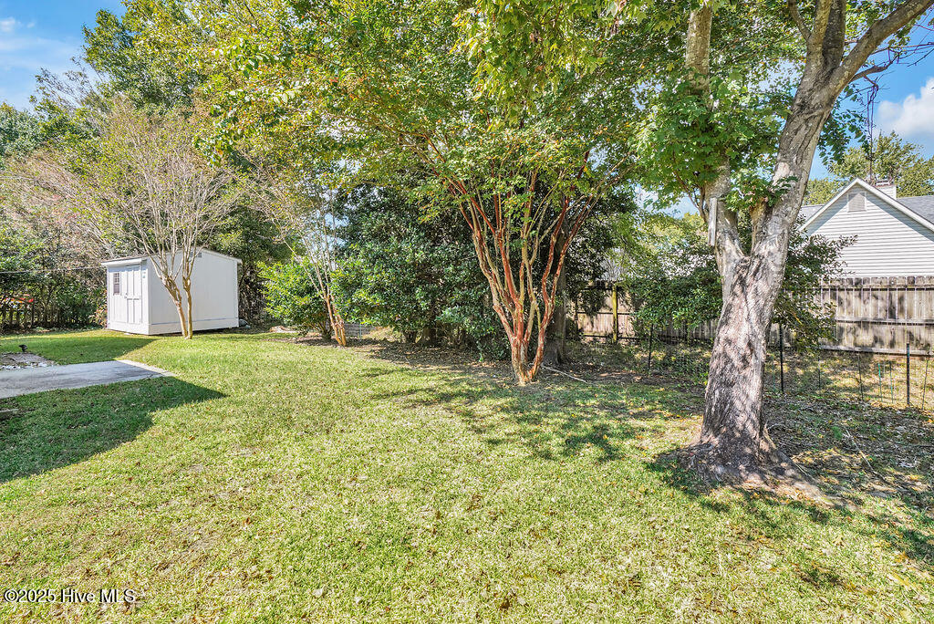 100533718 | Photo 28