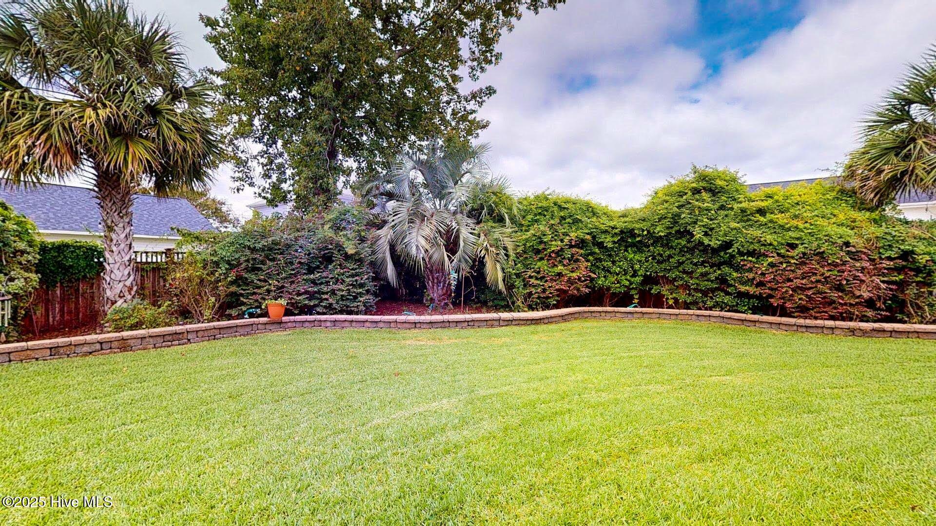 100528011 | Photo 32