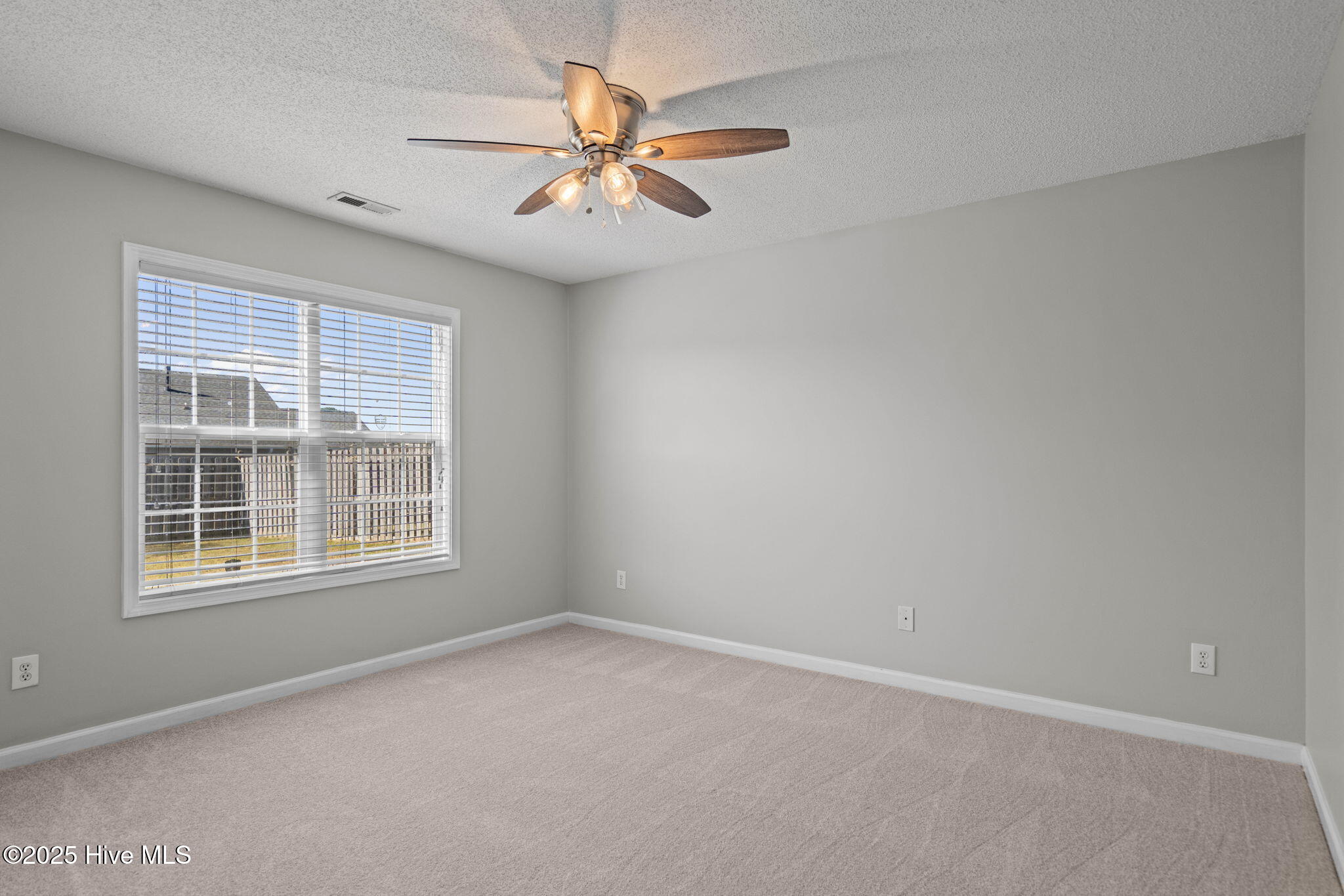 100537991 | Photo 17