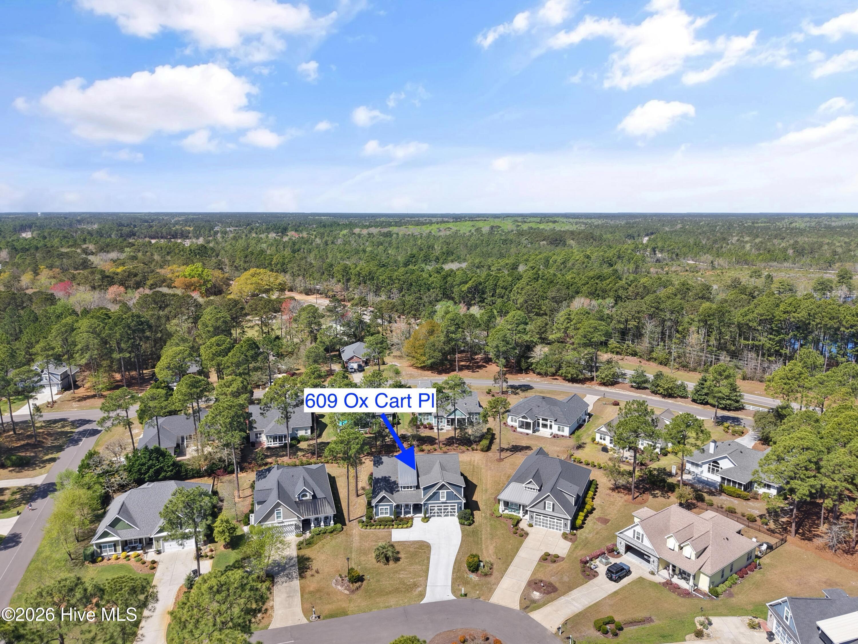 100564386 | Photo 66