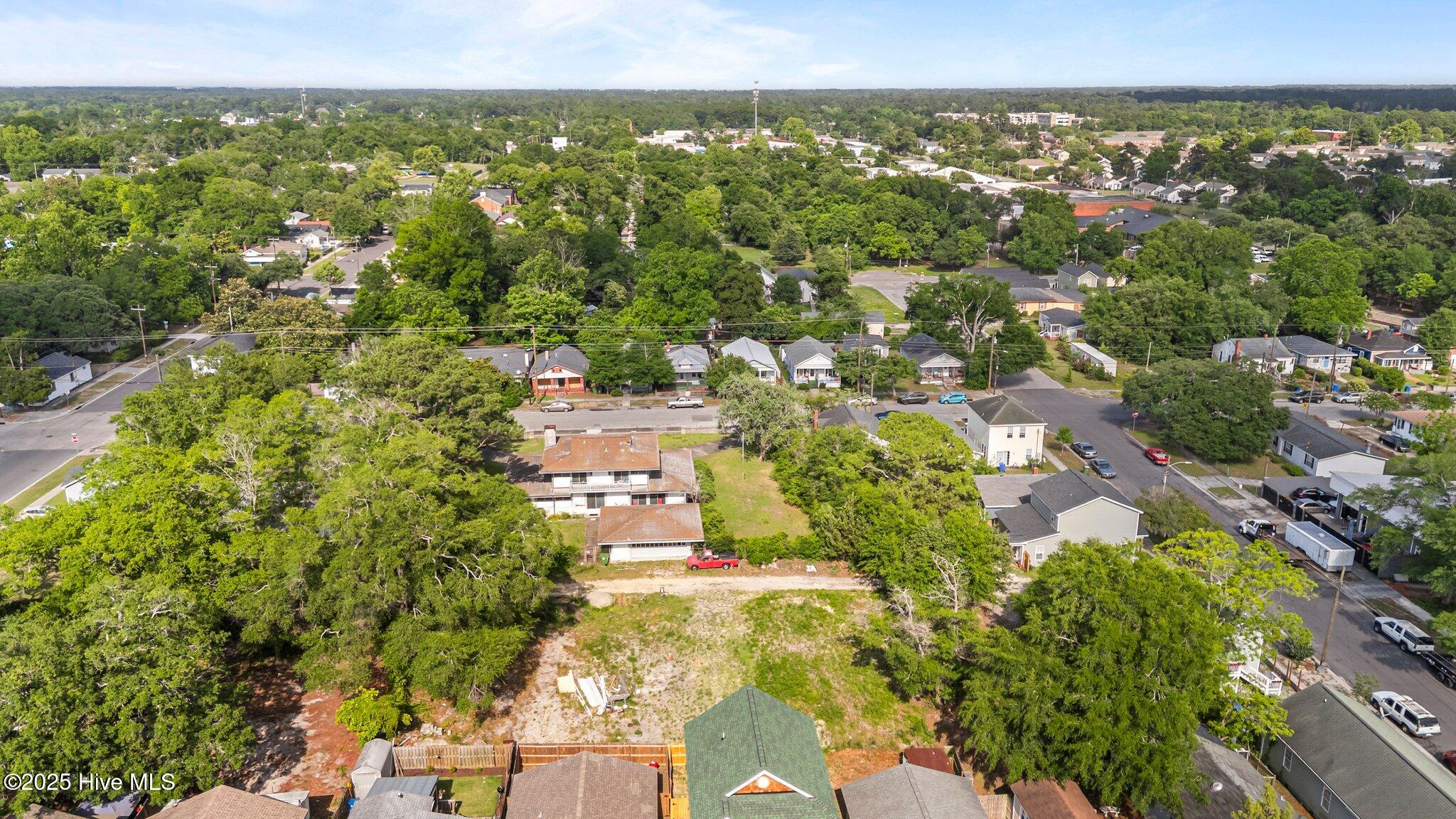 100509789 | Photo 11