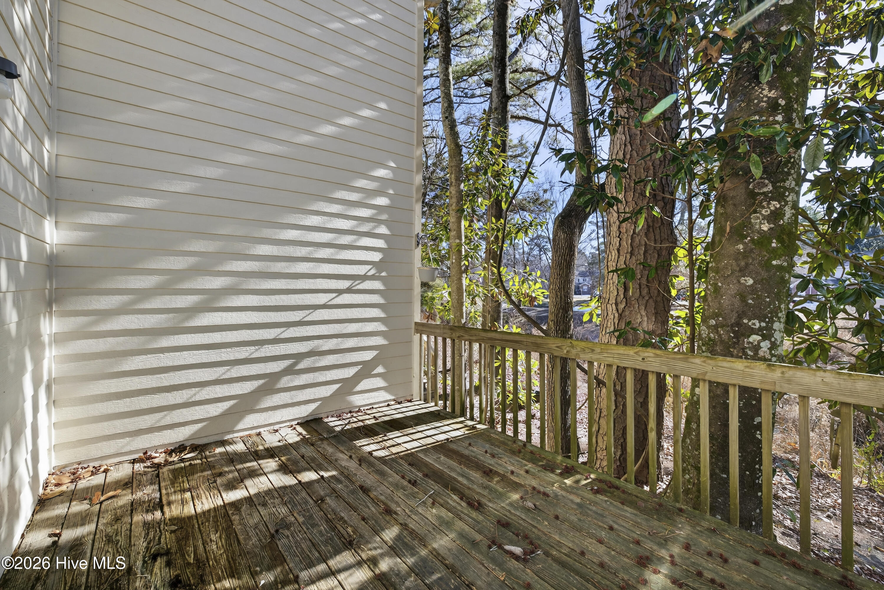 100551794 | Photo 10