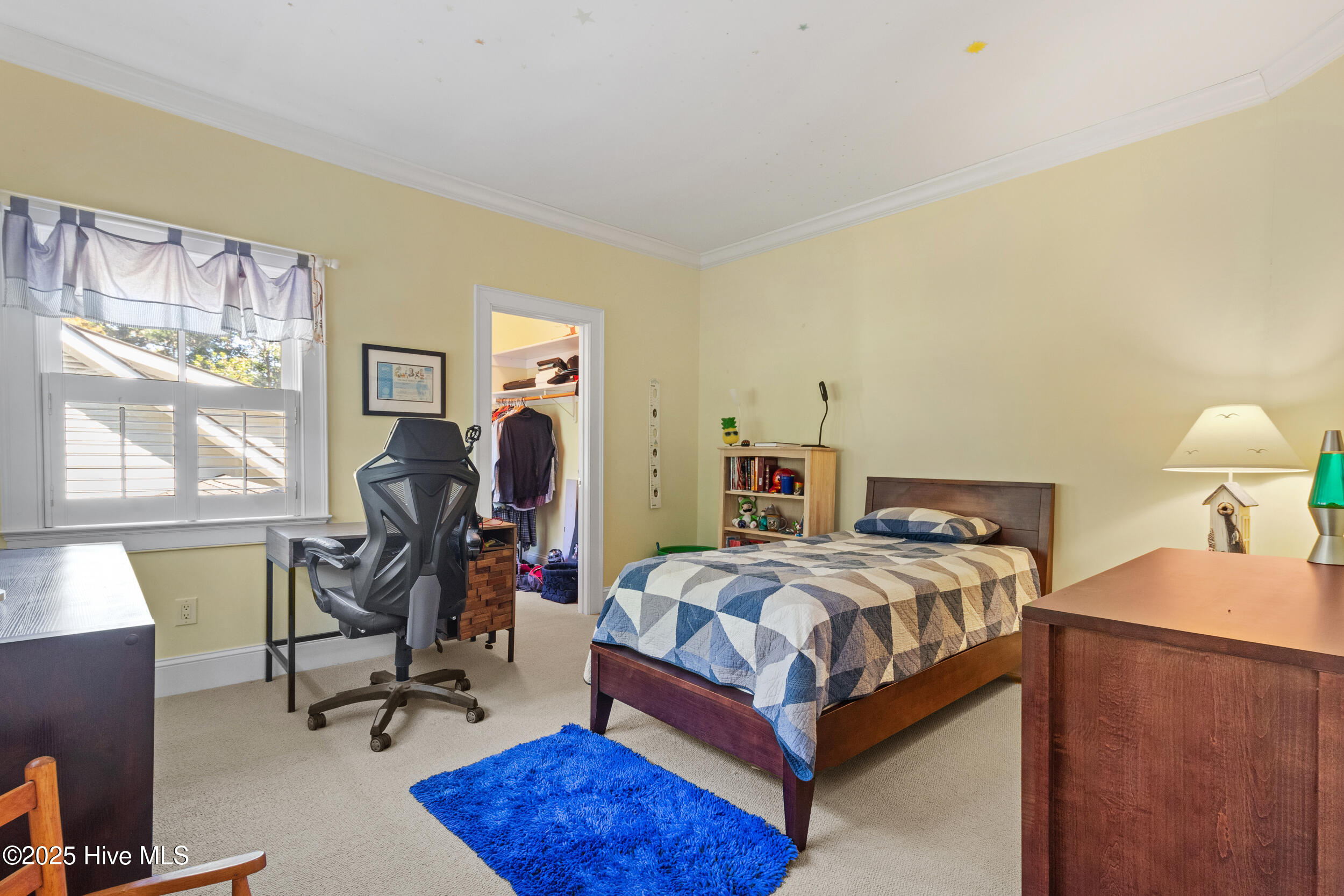 100540222 | Photo 50