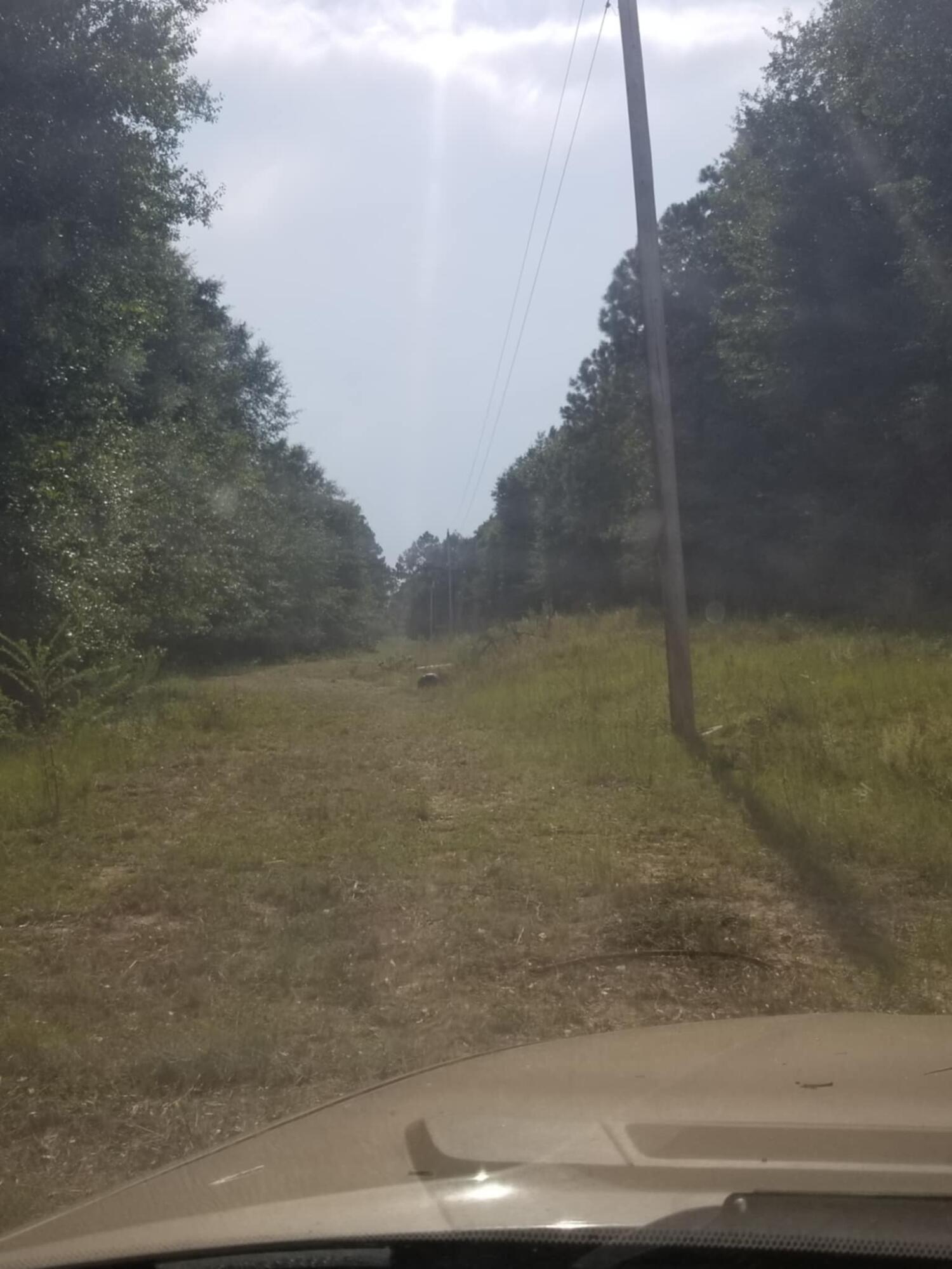 Homes for sale in Waynesboro, GA | 0 River Rd, Waynesboro, GA 30830 | MLS# 544387