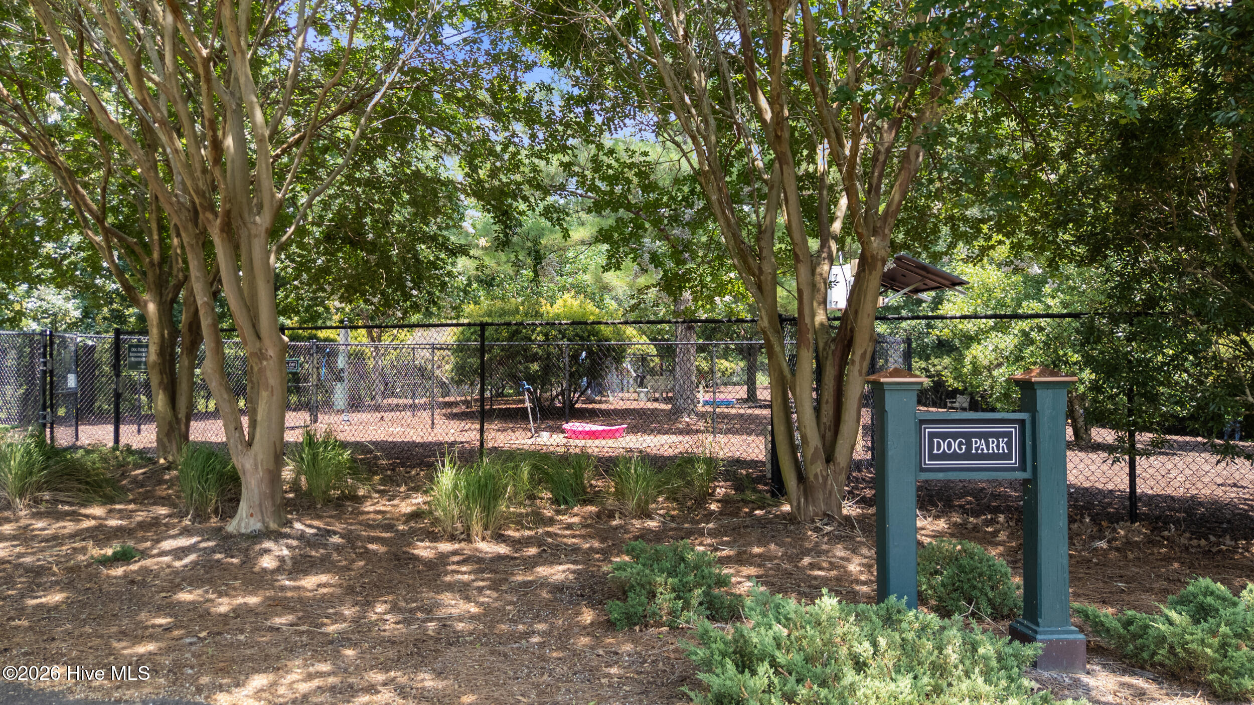 100553978 | Photo 57