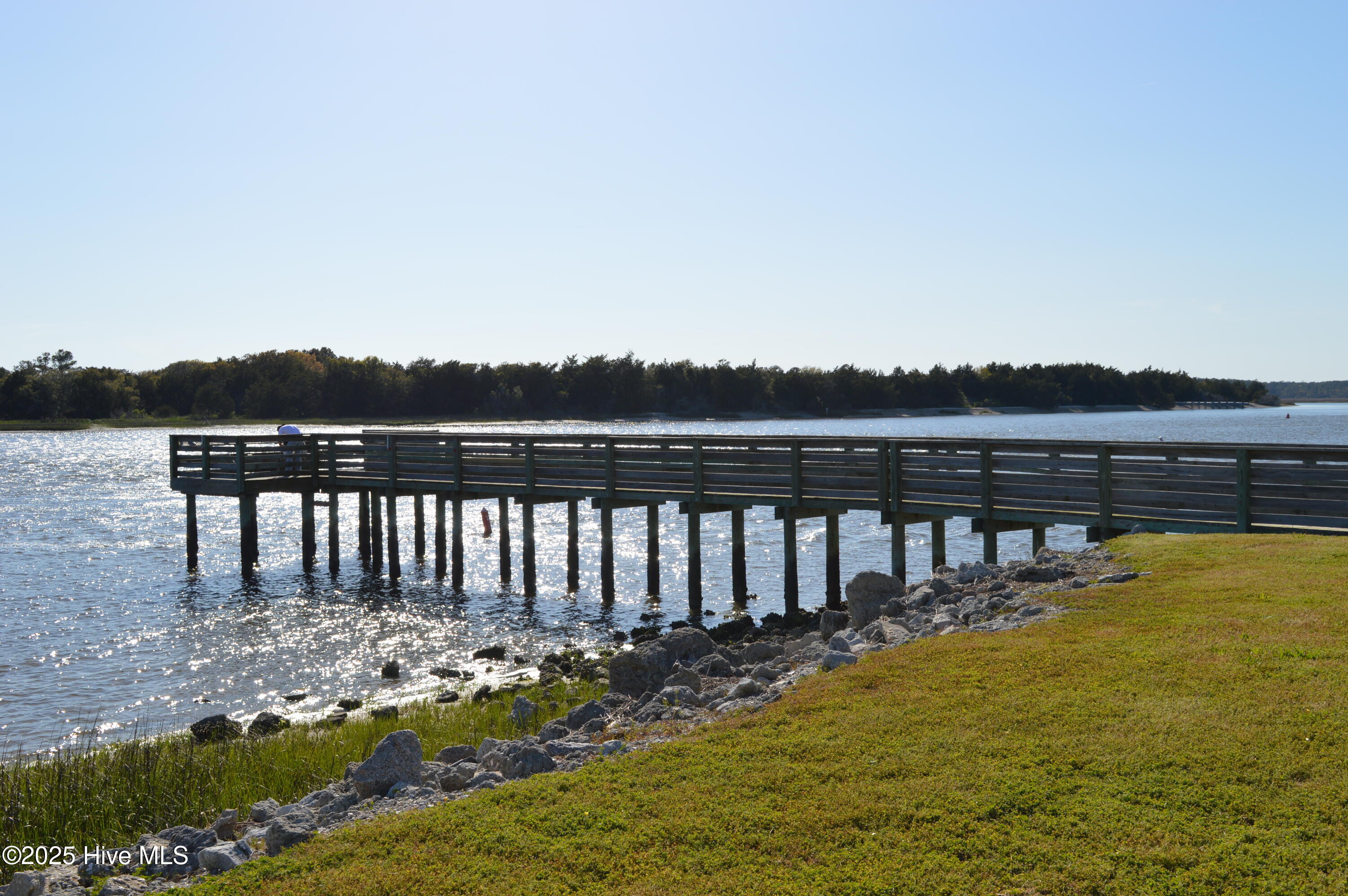 612 Bayshore Drive SE, Bolivia, NC 28422 – photo 24: NC Wildlife