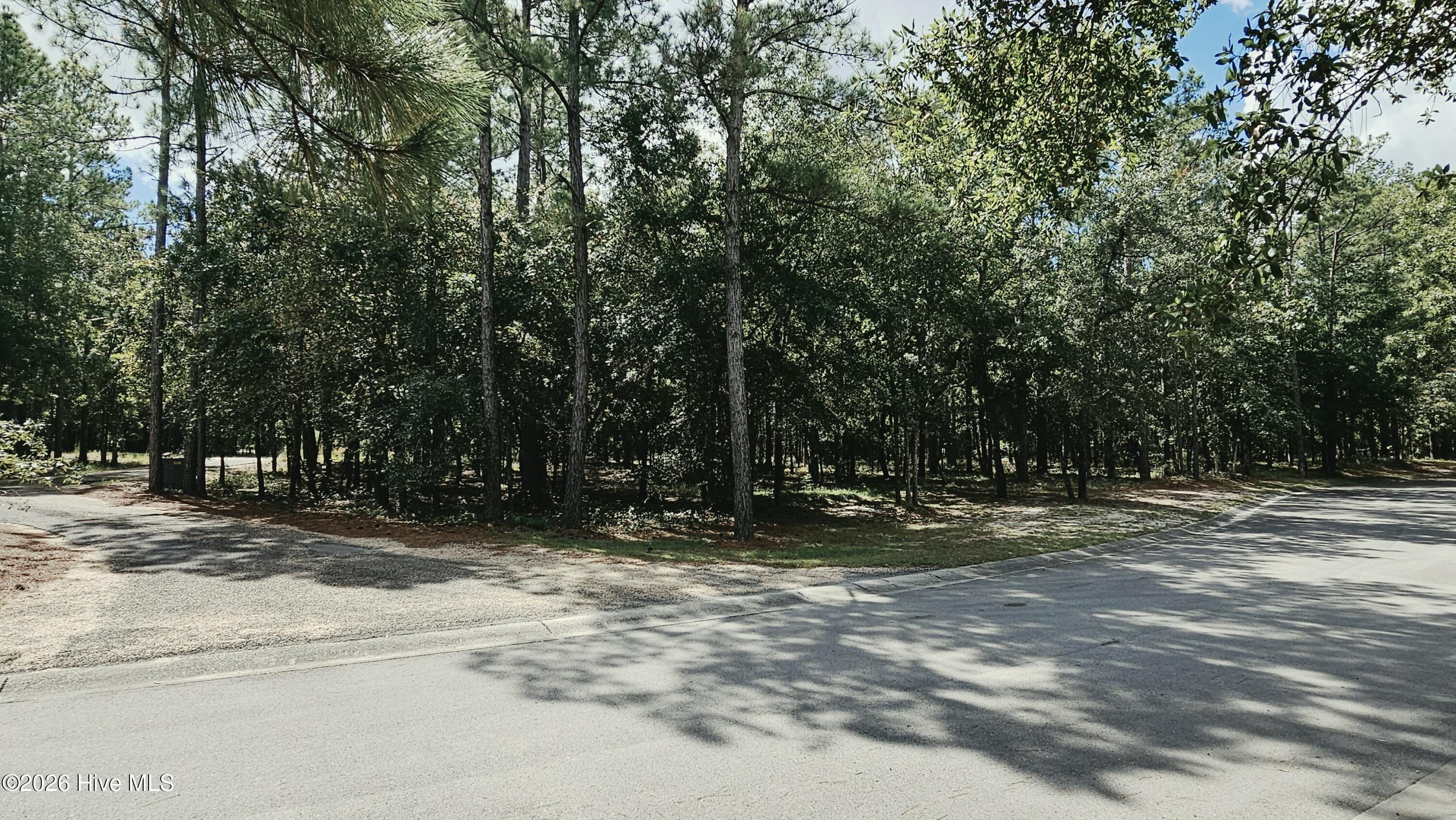 100607824 | Photo 2