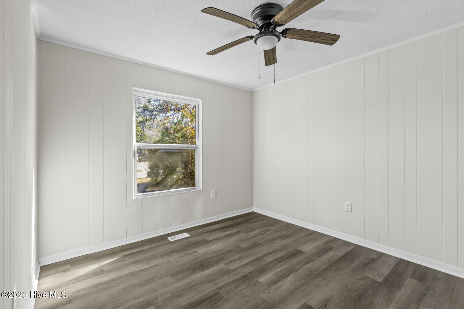 100546120 | Photo 12