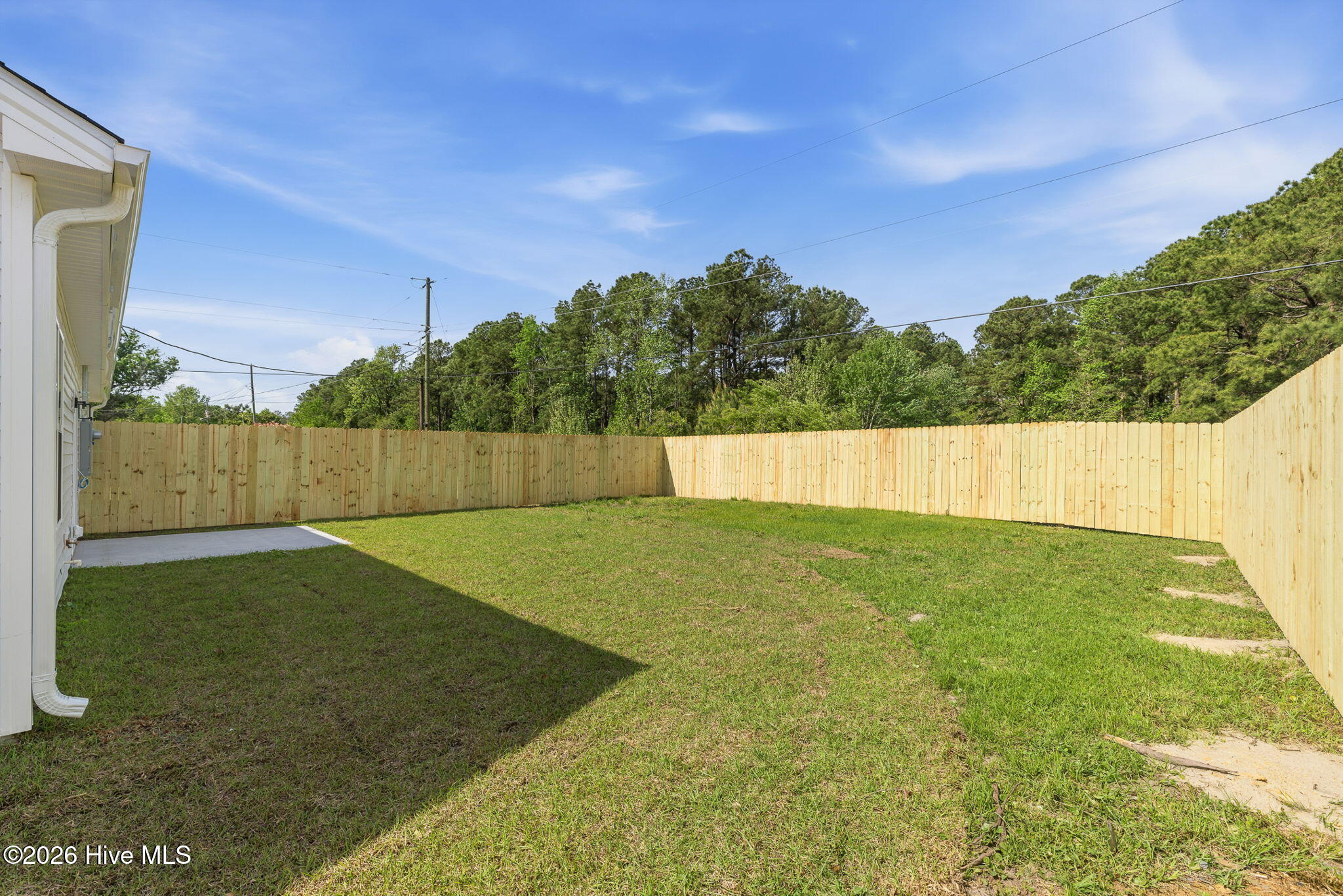 100562147 | Photo 30