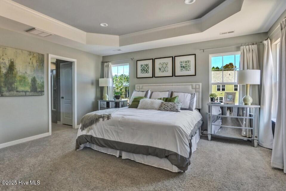 100561161 | Photo 19