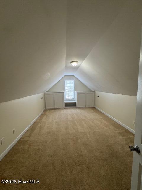 100538231 | Photo 16