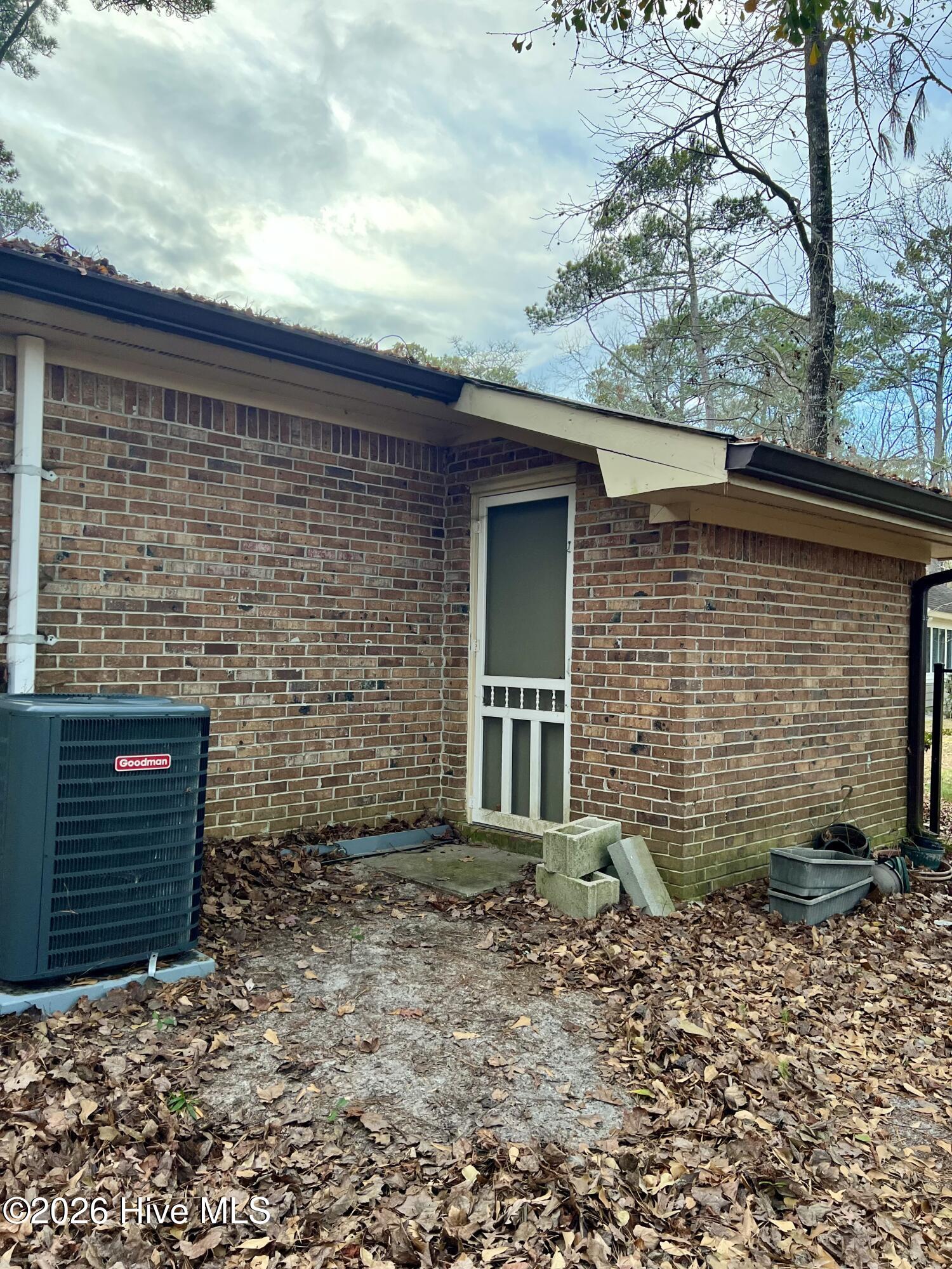 100564065 | Photo 37