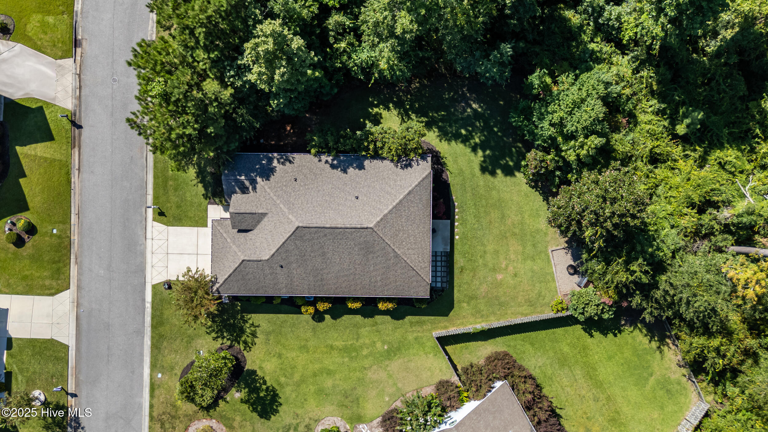 100529345 | Photo 46