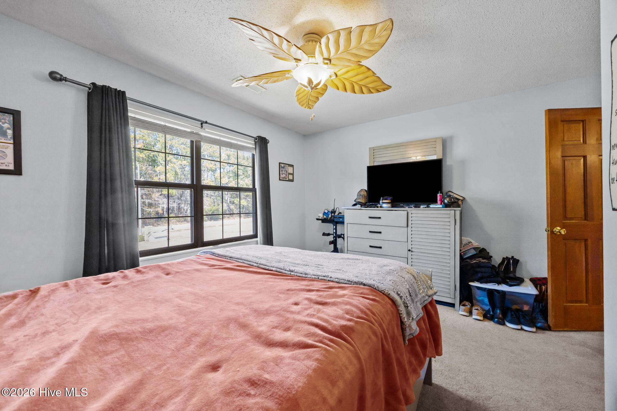 100554943 | Photo 14