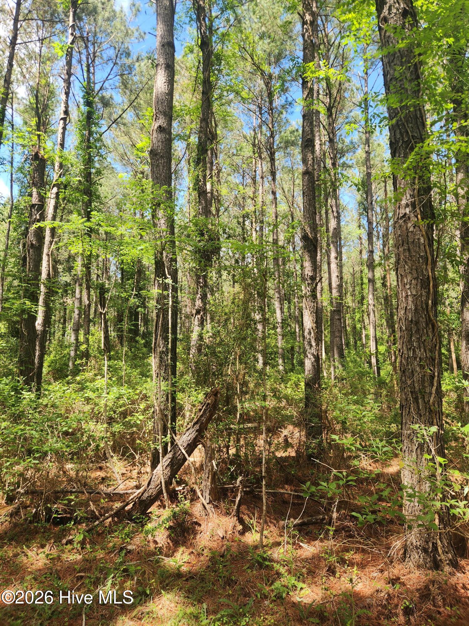 129 25 Garbacon Drive,Beaufort