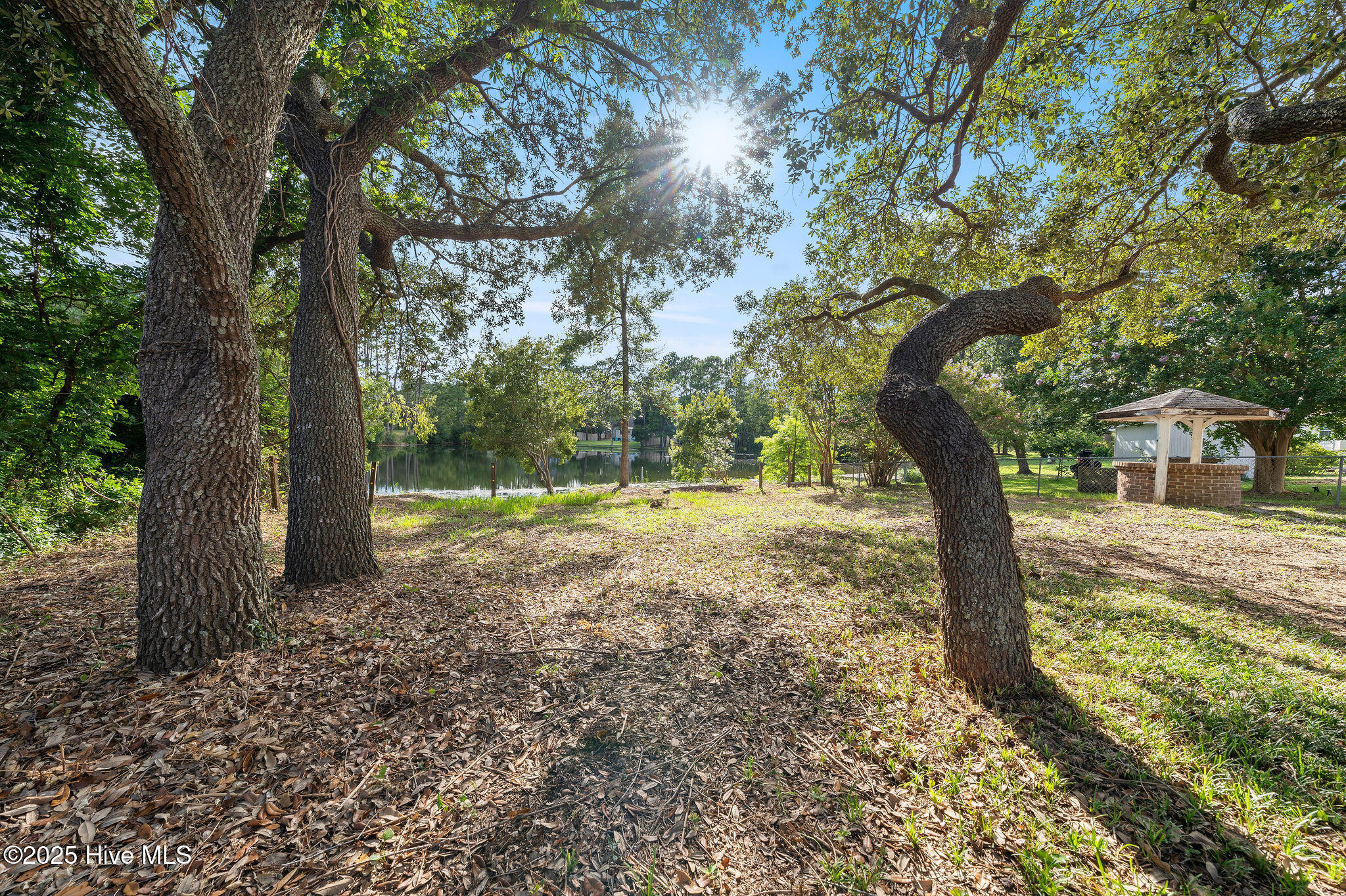 100522130 | Photo 12