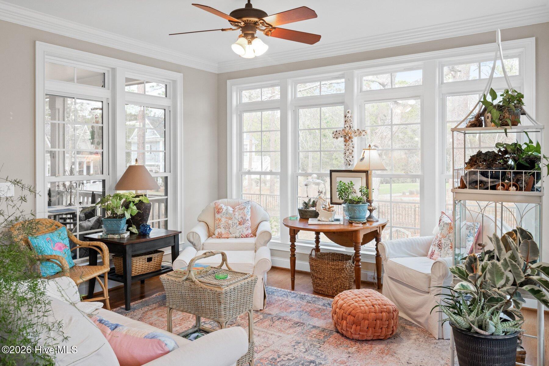 100559574 | Photo 26