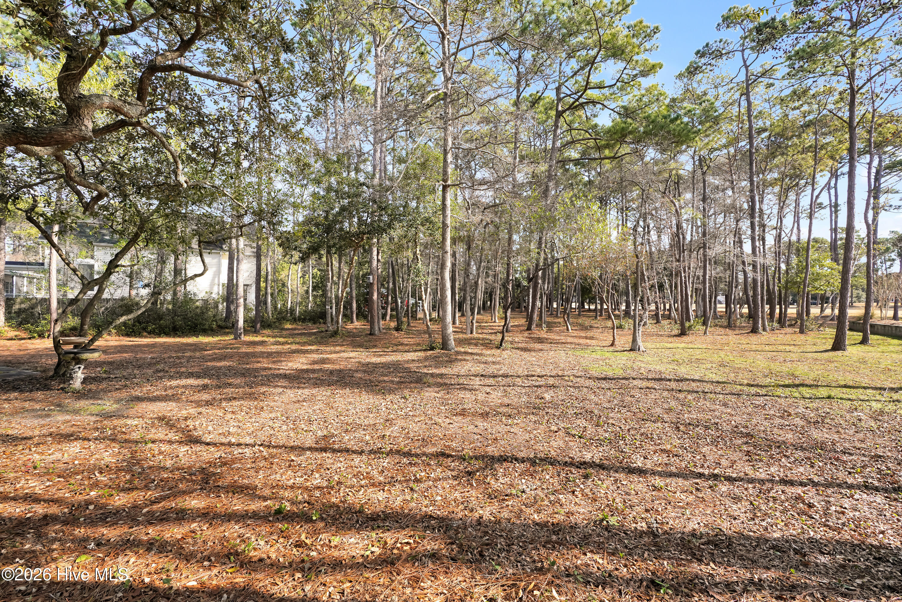 100549452 | Photo 32