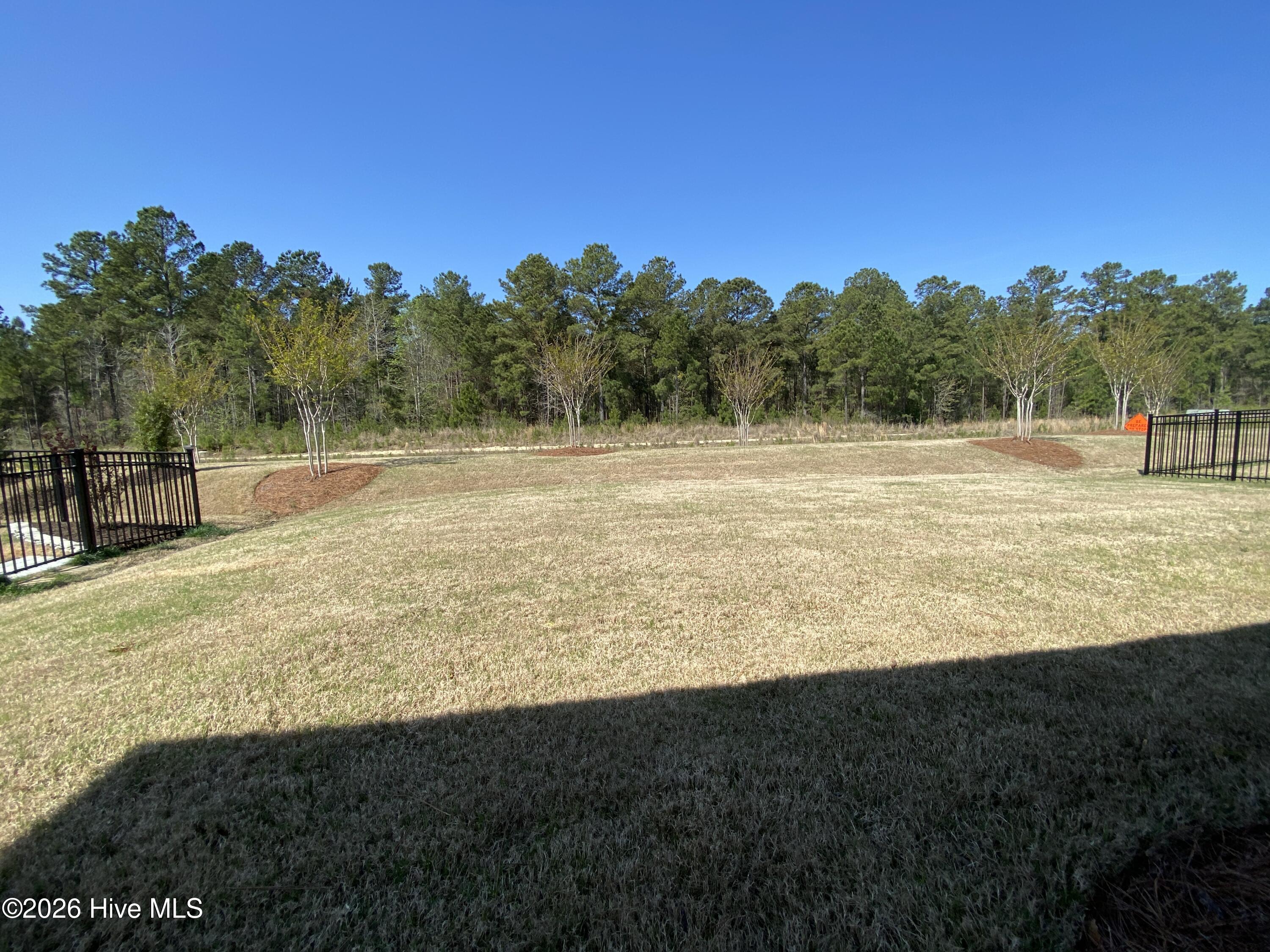 100553677 | Photo 40