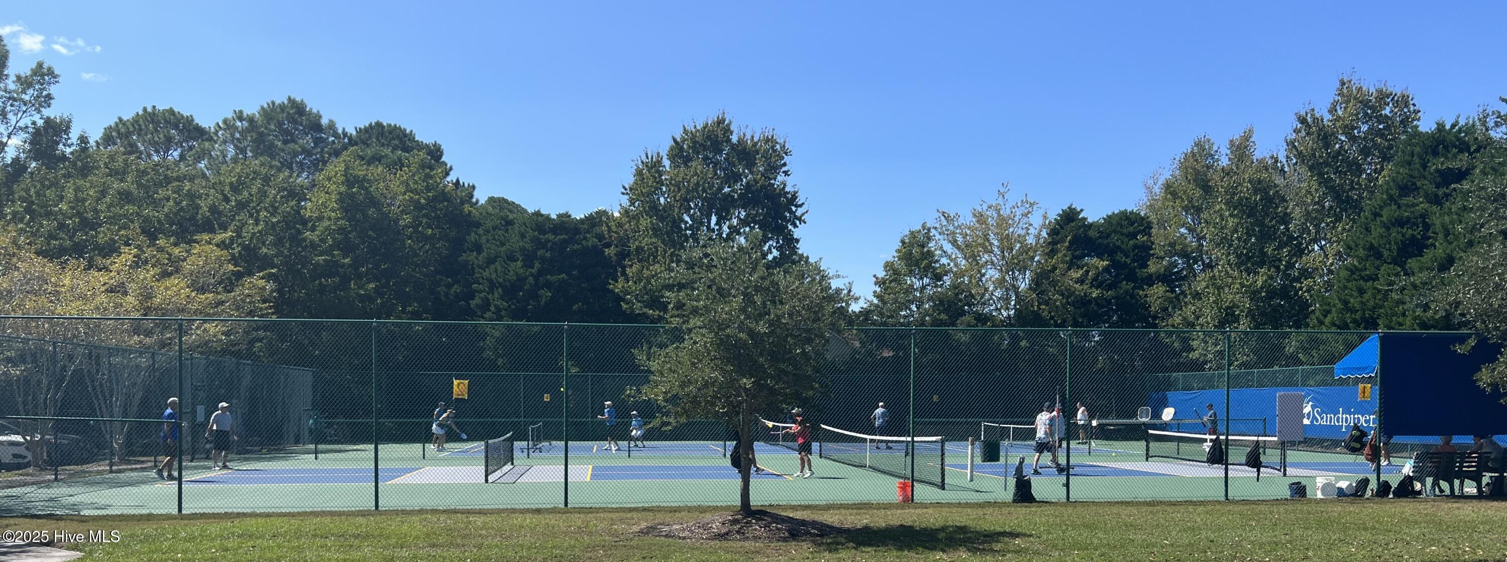 100539119 | Photo 66