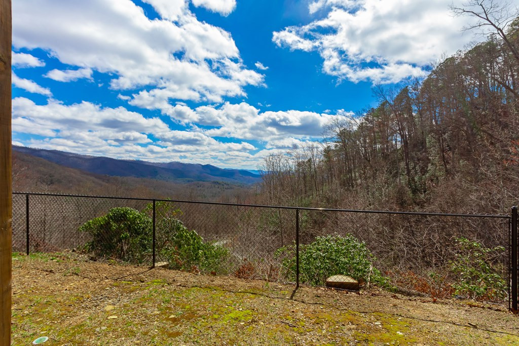 Backyard view