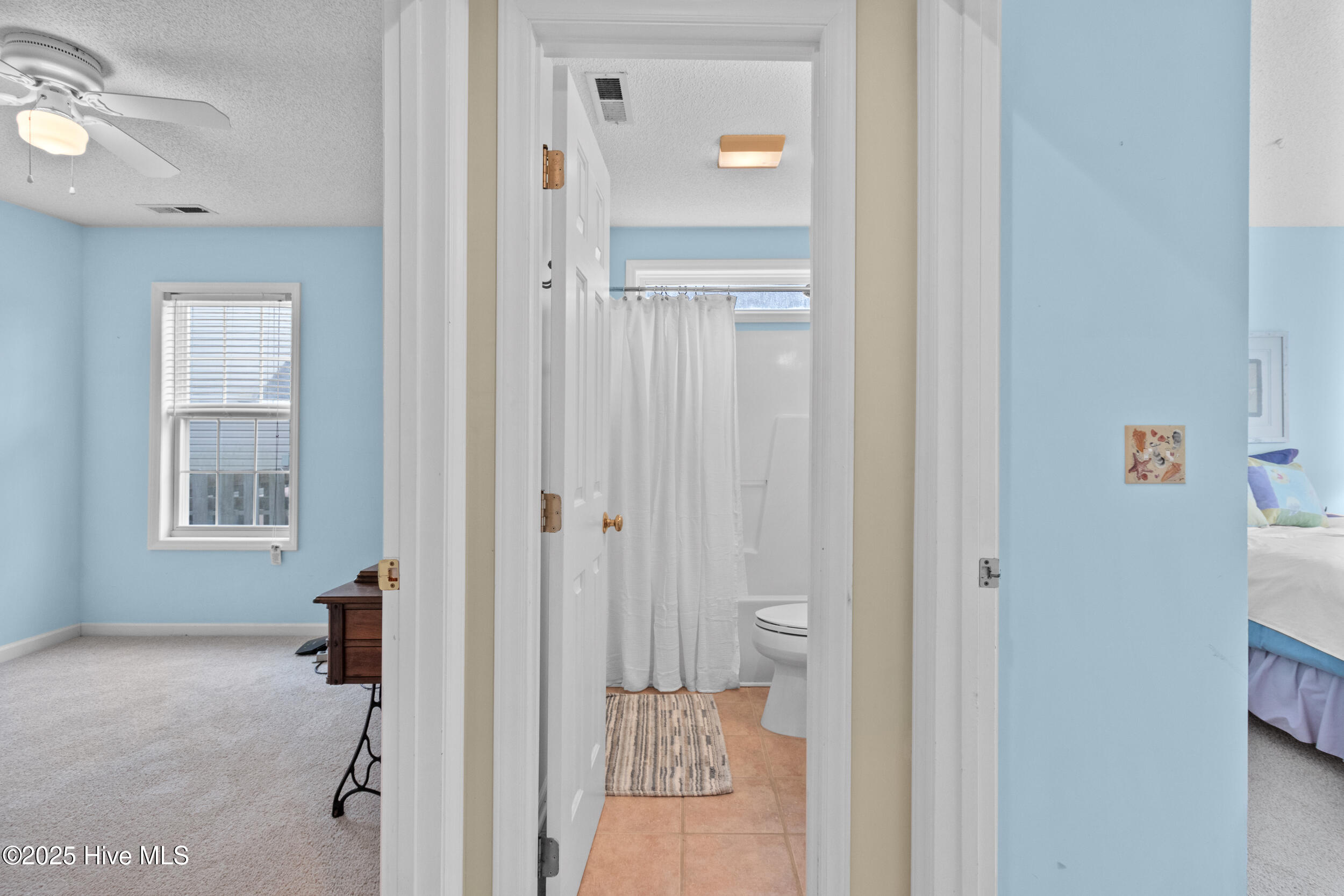 100518849 | Photo 15