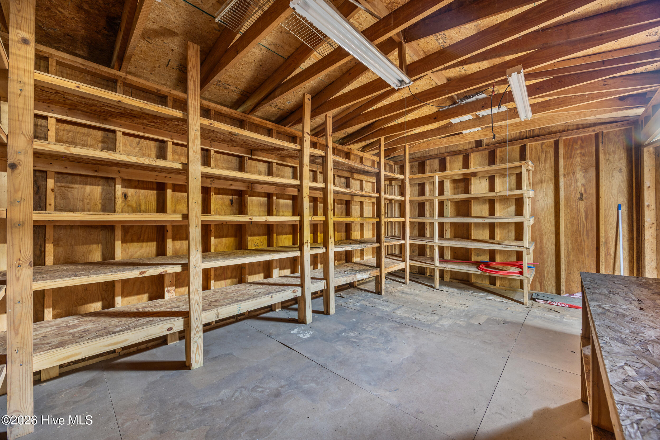 100552776 | Photo 41