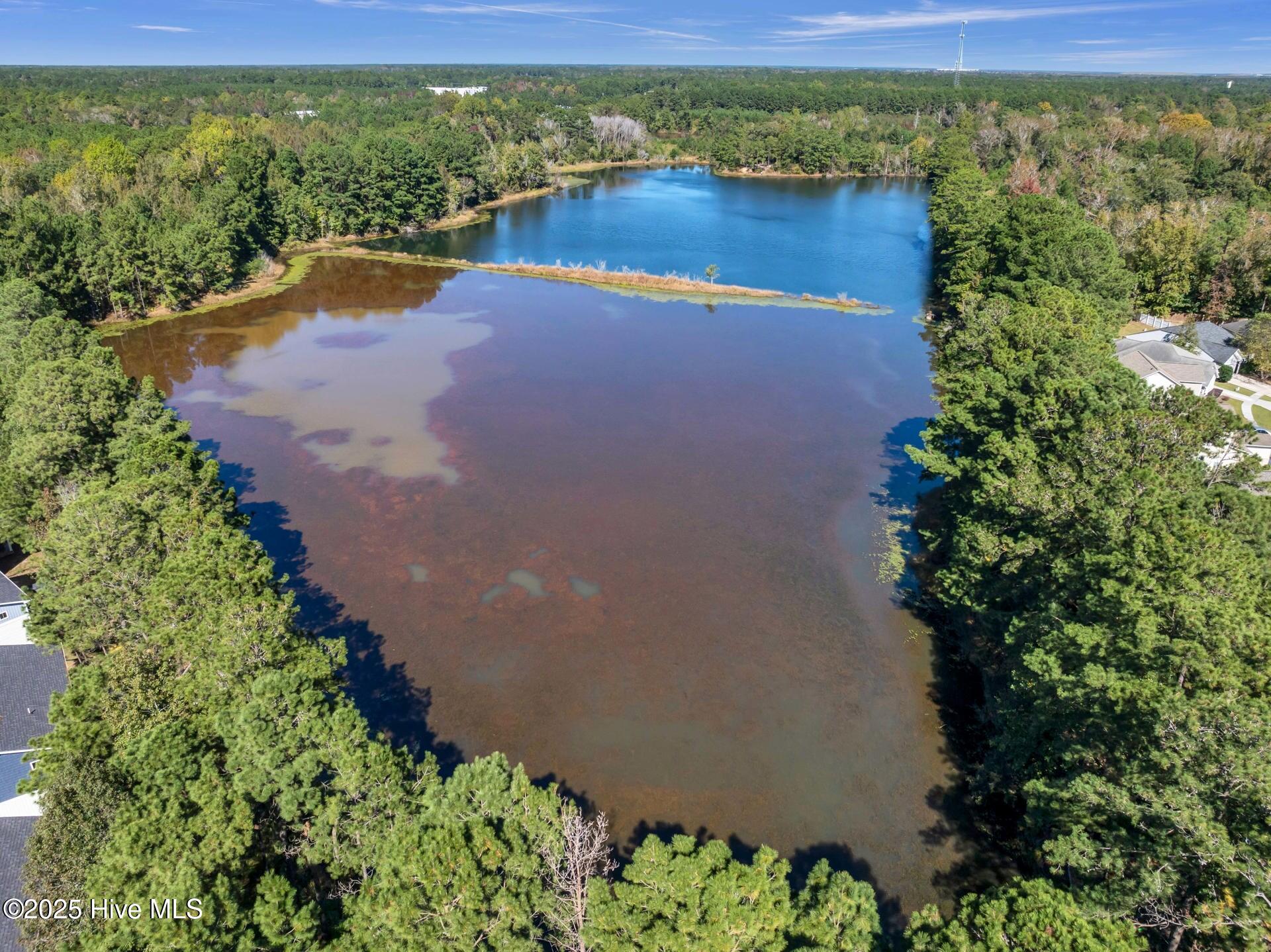 100537443 | Photo 41