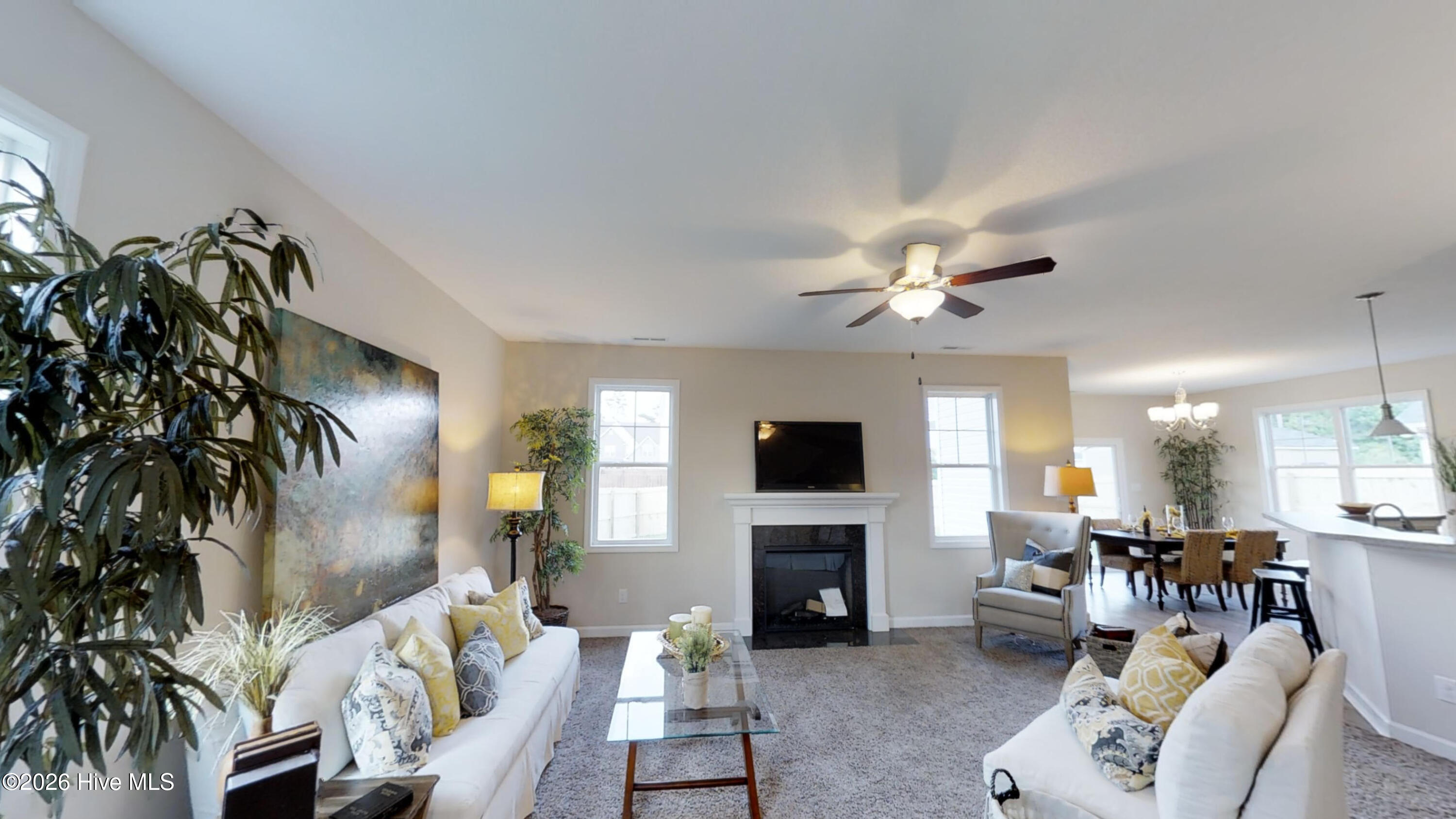 100562785 | Photo 26