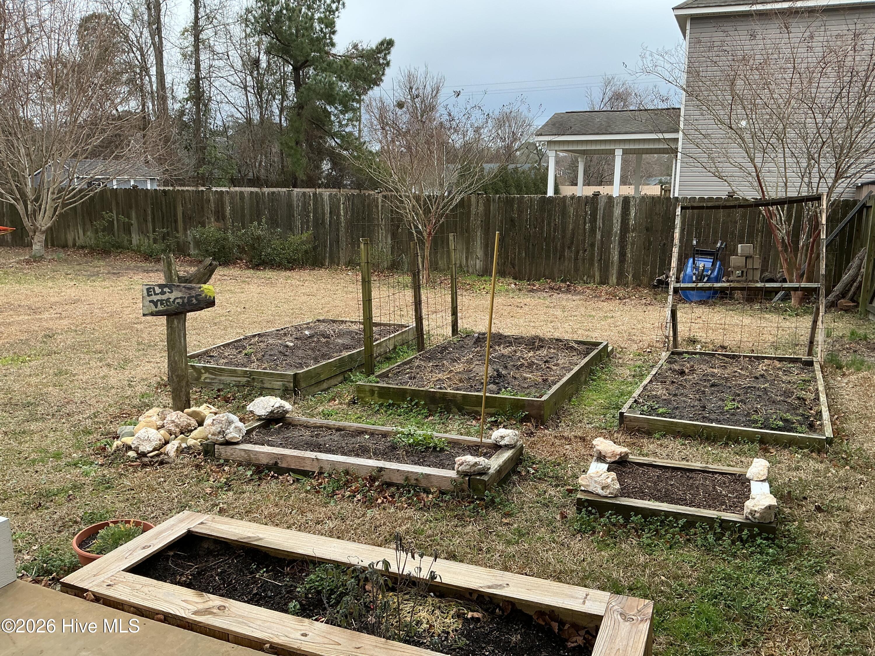 100556854 | Photo 23