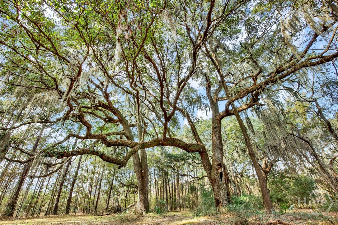 2nd image of 193 Burton Rd, Savannah, GA 31405 | MLS# SA340609