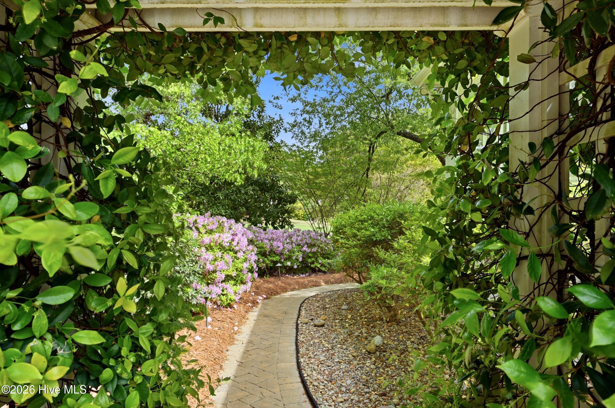 100566149 | Photo 14