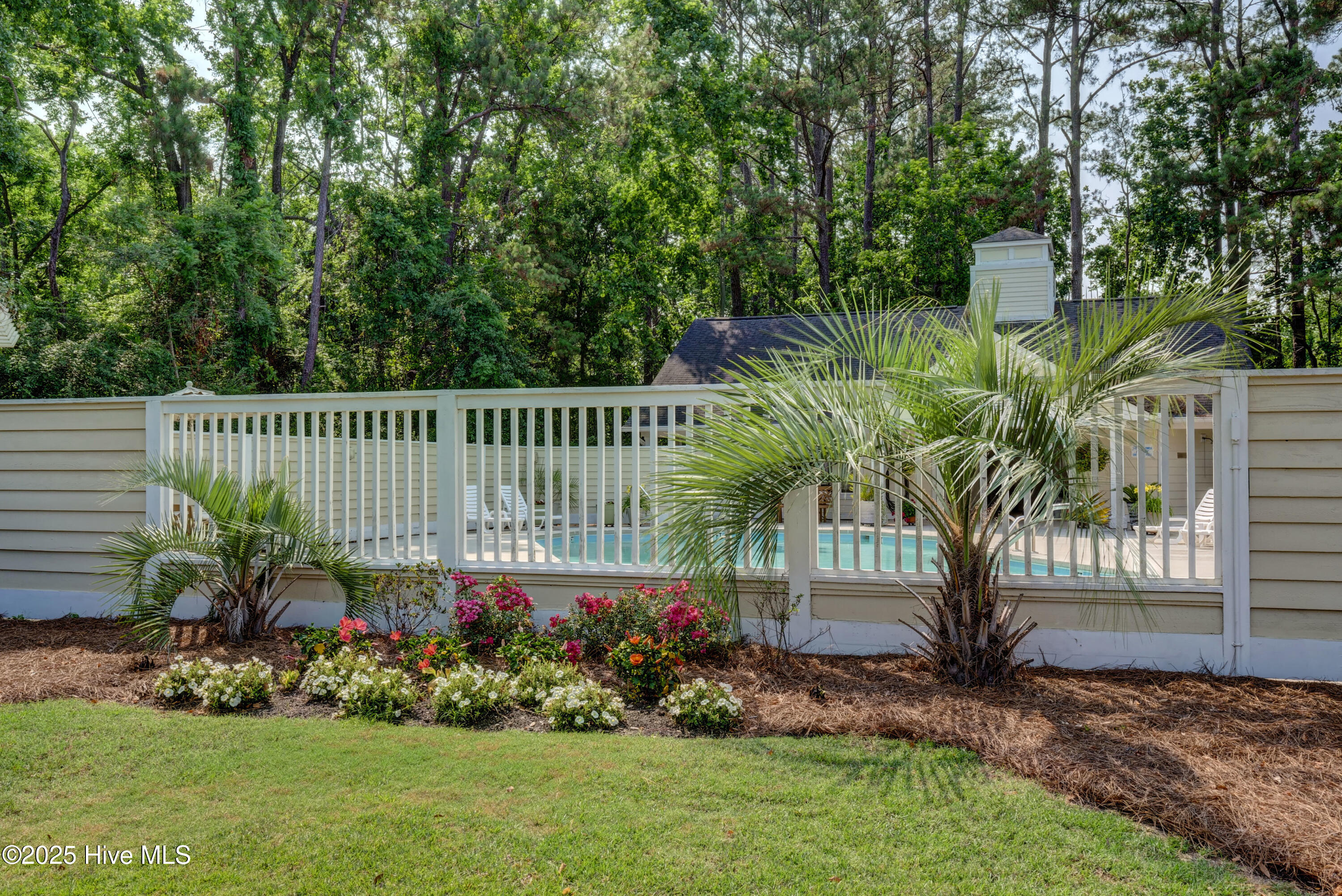 100557867 | Photo 37