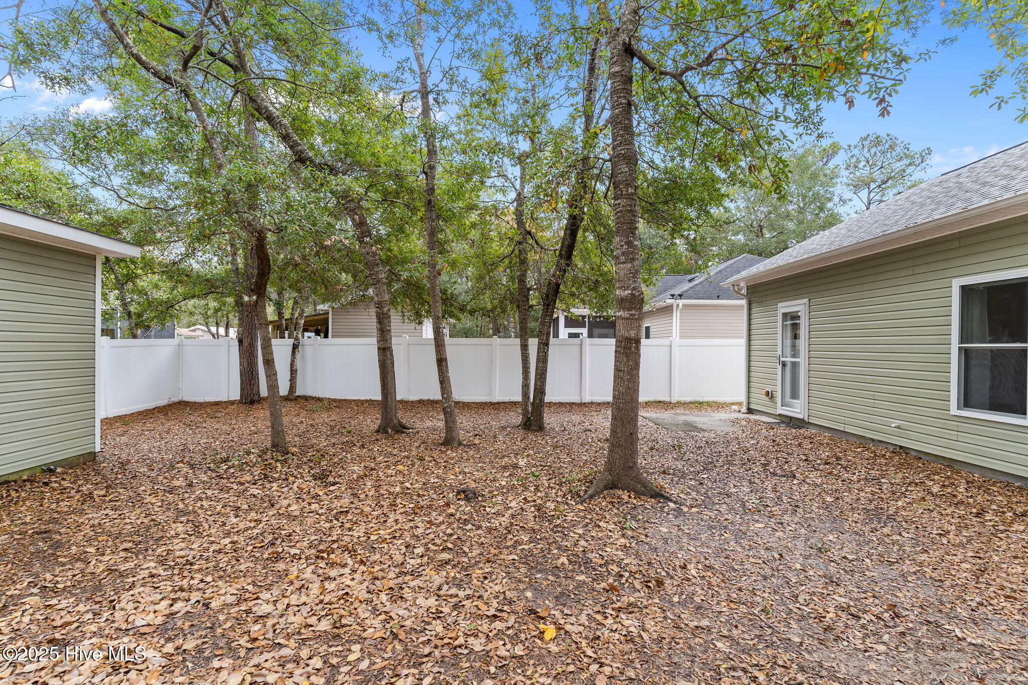 100543920 | Photo 20