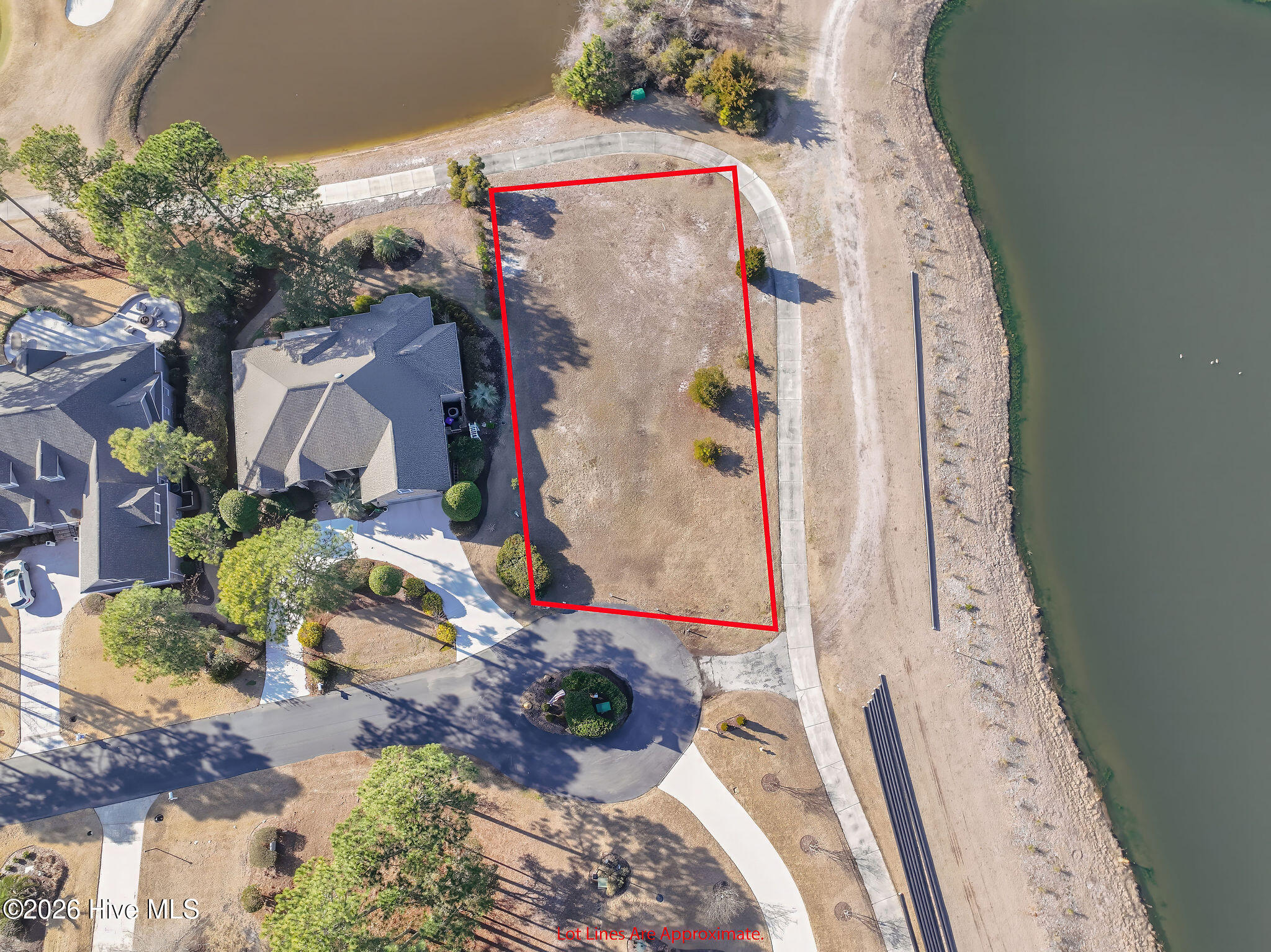 100554369 | Photo 12