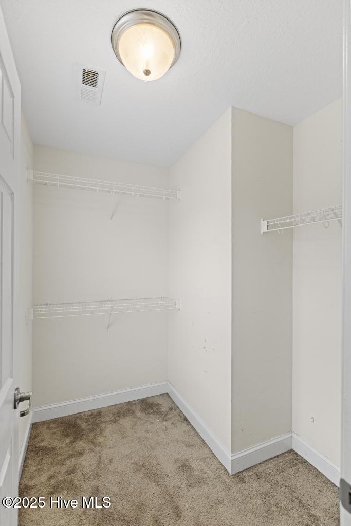 100532537 | Photo 23