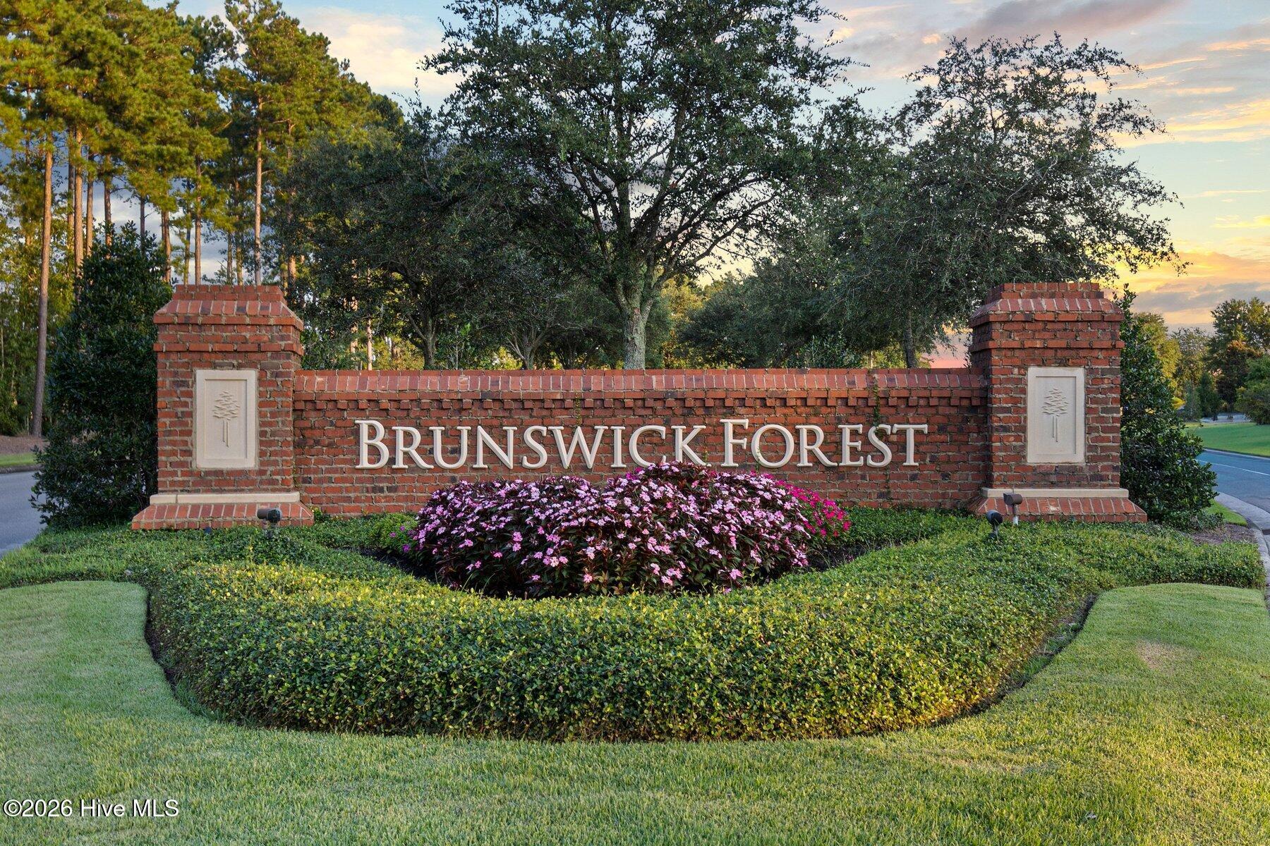 100552646 | Photo 38